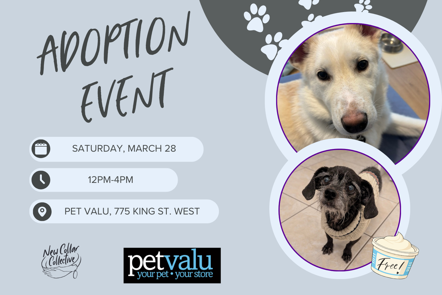 Adoption Event