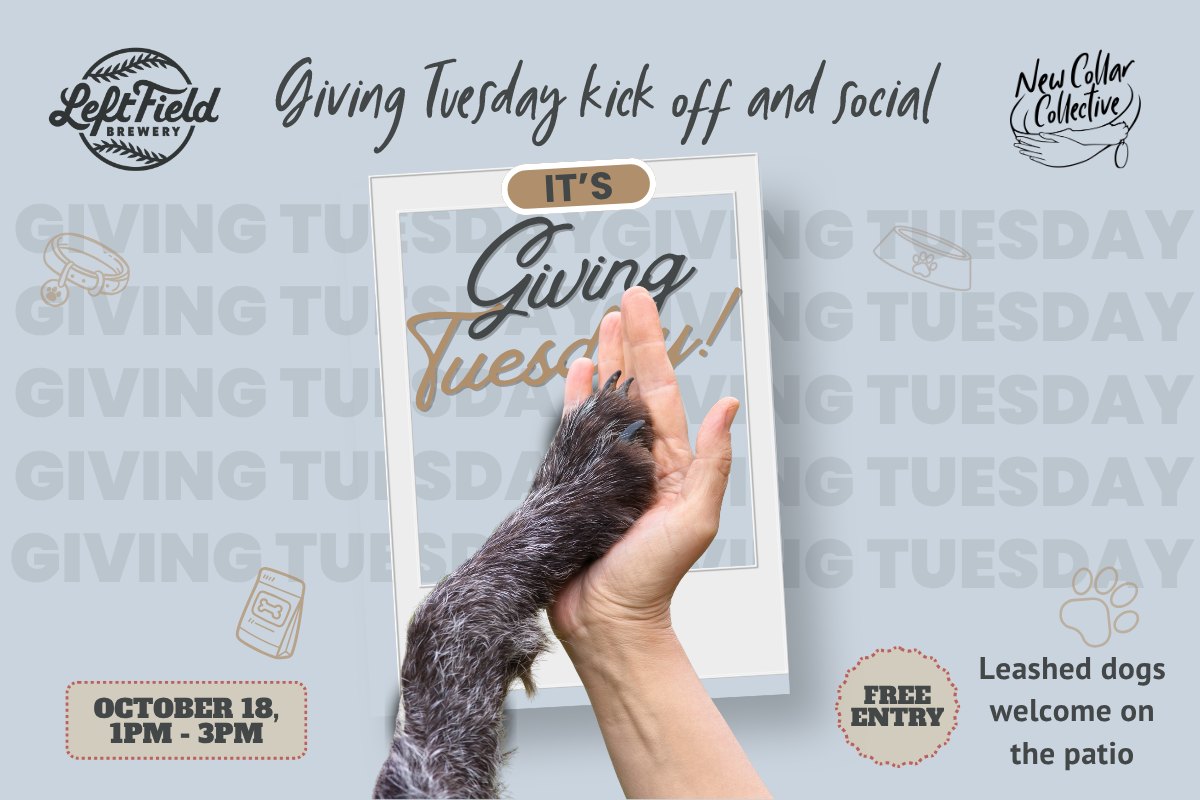 Giving Tuesday kick off and social