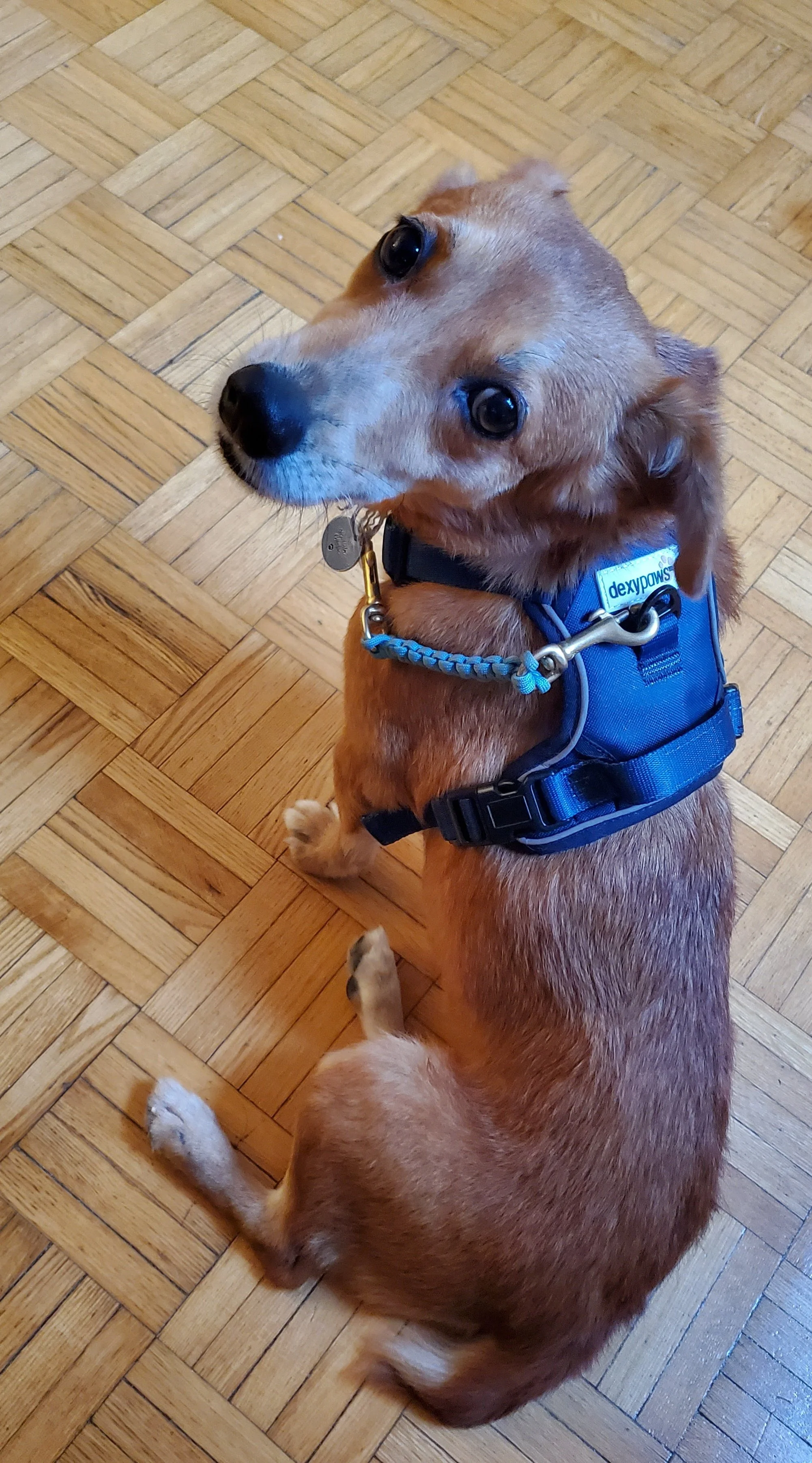 Kelly Ann — New Collar Collective