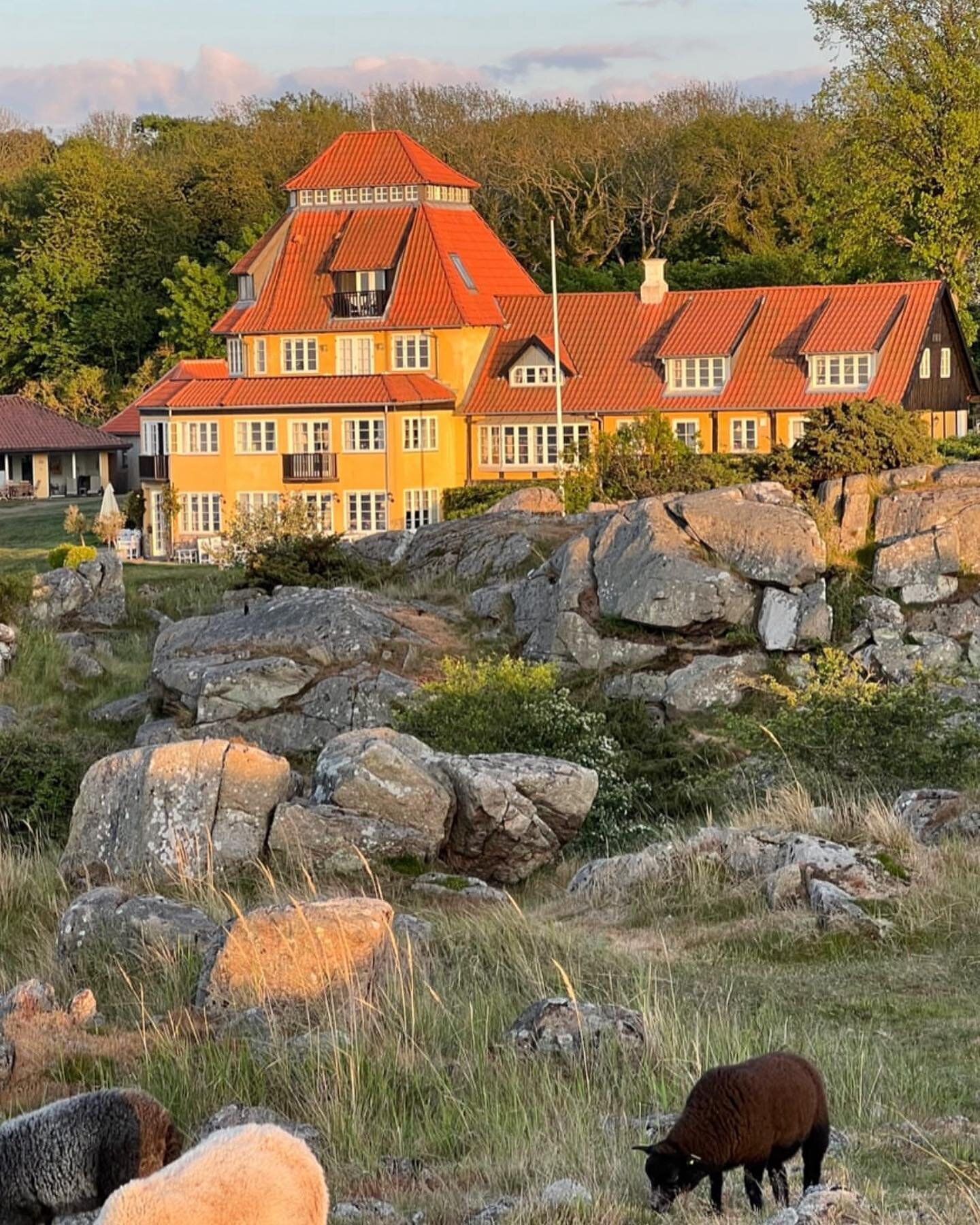 I had the opportunity to help furnish and decorate the iconic @stammershallebadehotel beach hotel on Bornholm. The work was a lot of fun. It was an honour to style the decor and help refurbish the newly renovated hotel by REFORM Arkitektur. 

Some be