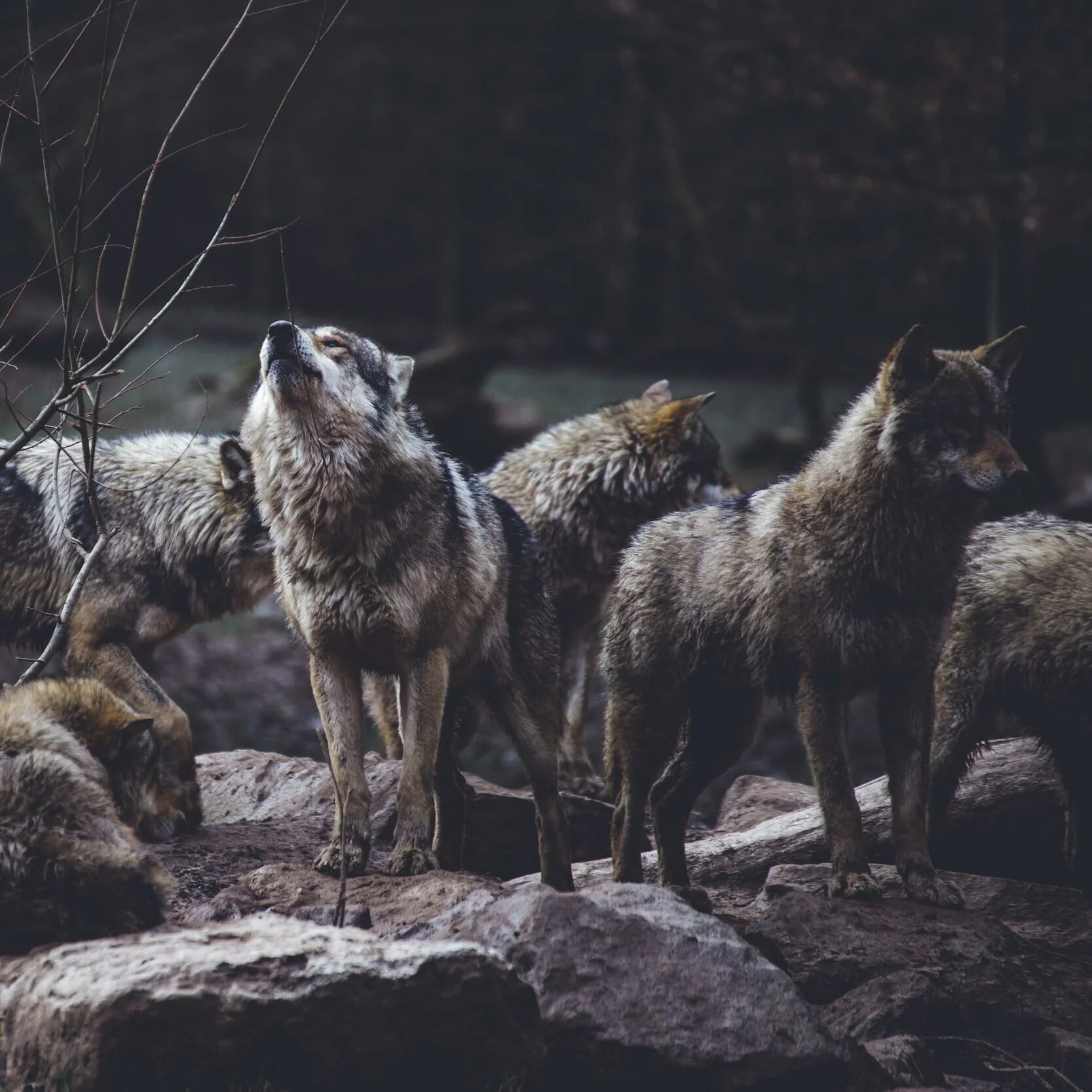 unsplash-image-dtfyRuKG7UY.jpg