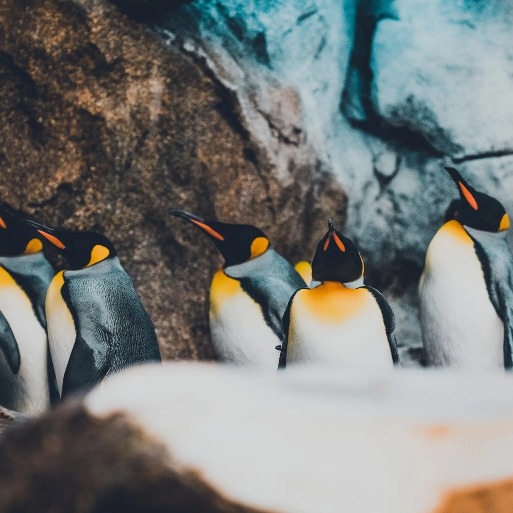 unsplash-image-tmsxaFx1Sws.jpg