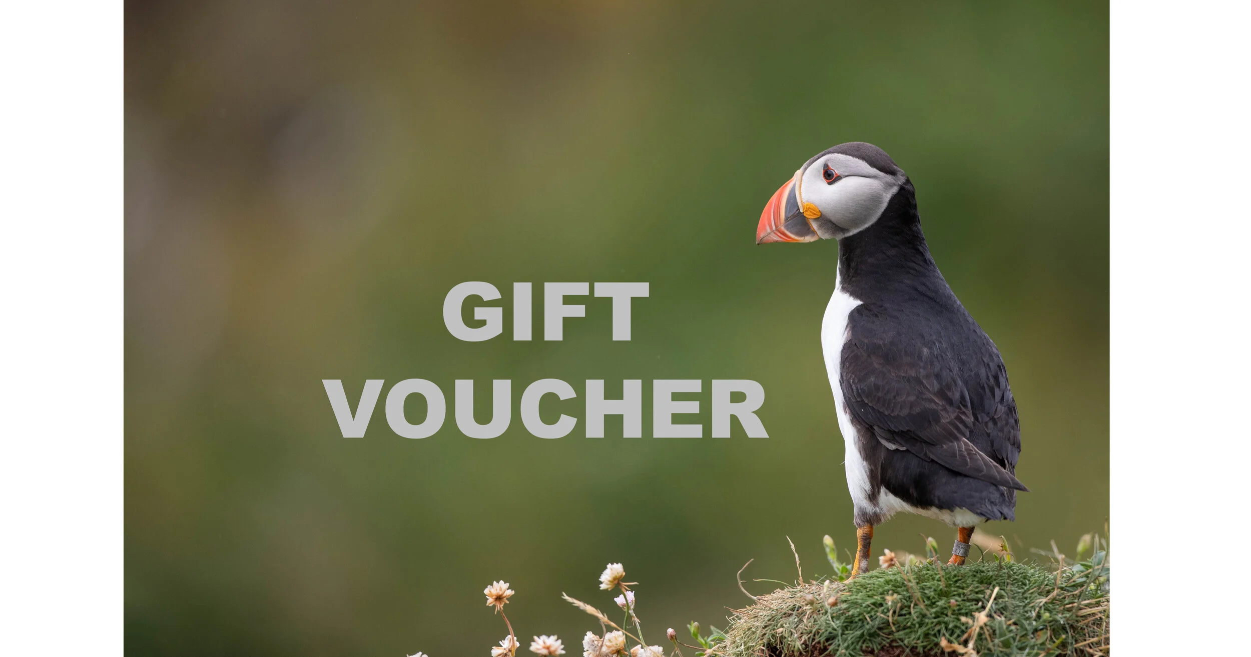 Workshop Gift Vouchers