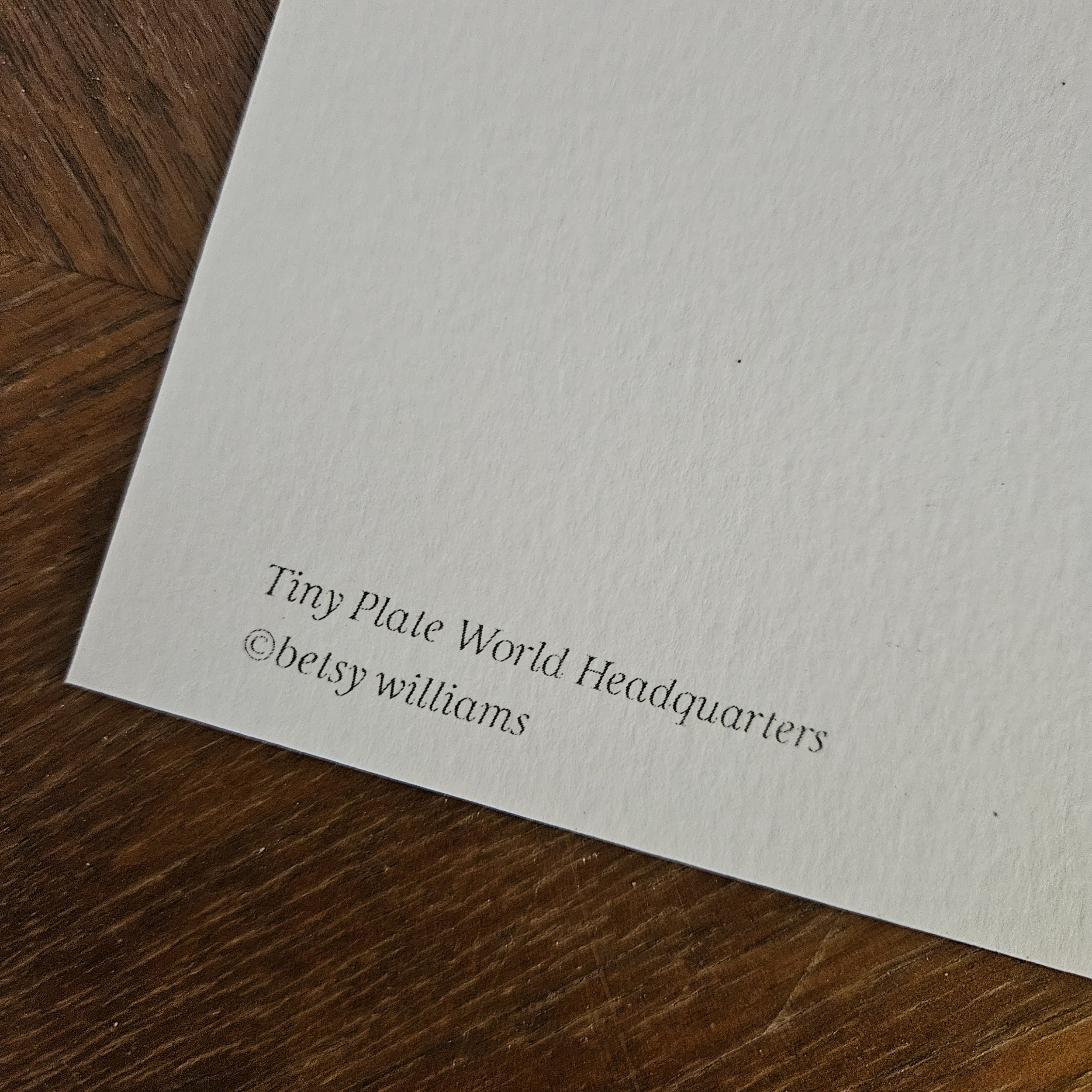 bird card 3 reverse.jpg
