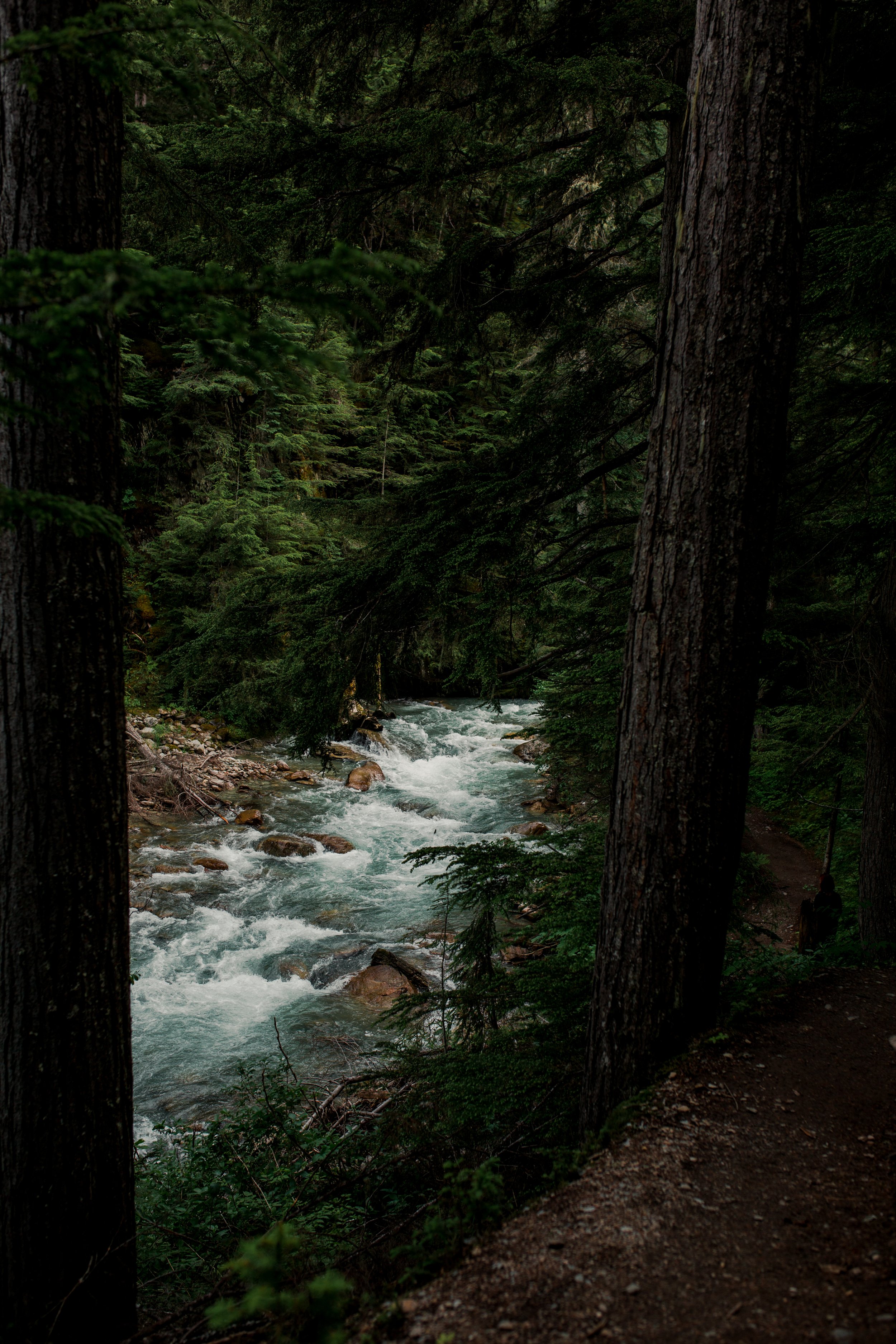 Banff CA -34.JPG