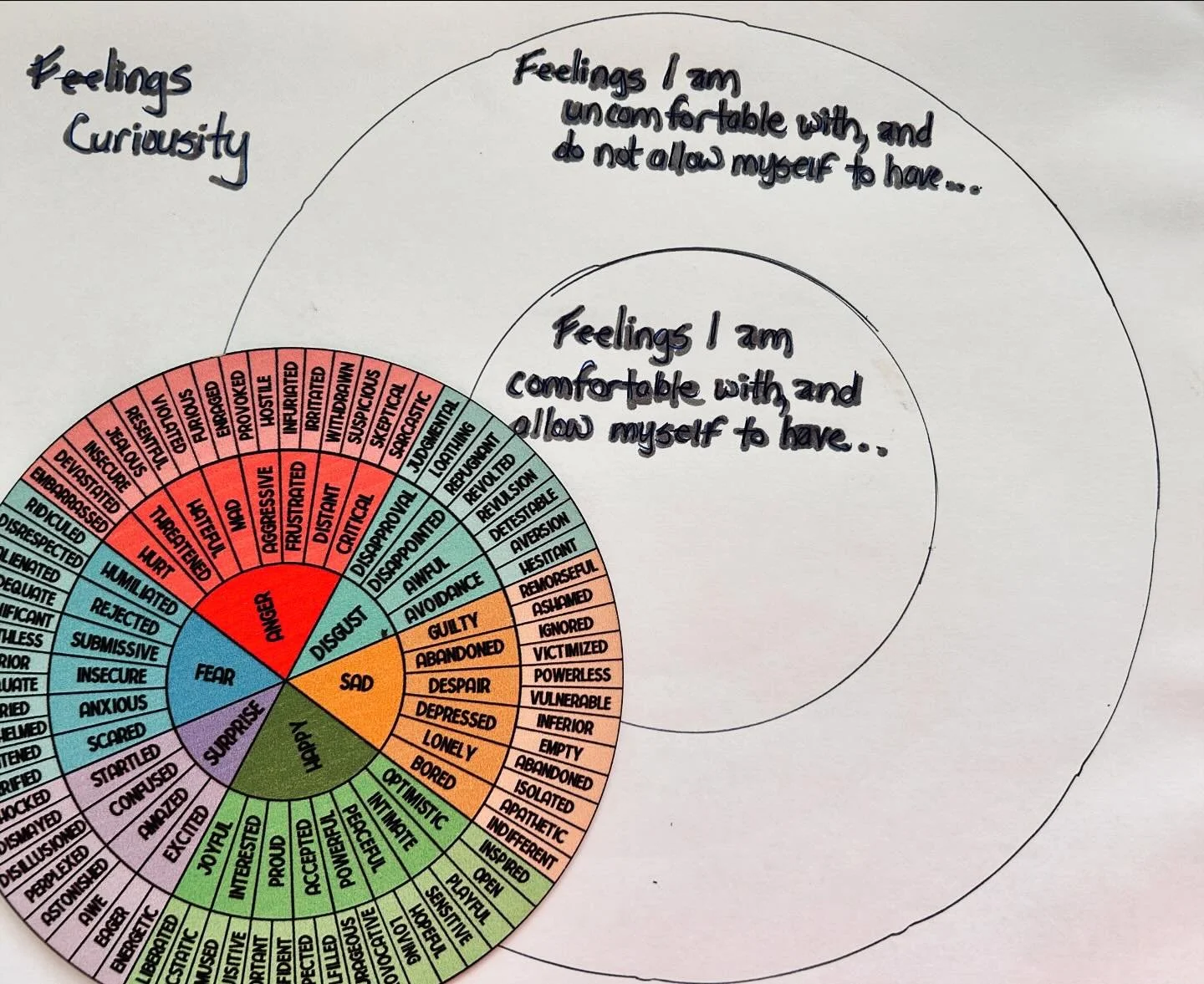 I believe that understanding our feelings is like a superpower.  It is the superpower that helps connect you to your capital S Self. 

In sessions, I encourage clients to get curious about their feelings. 

This exercise is one I like to do with clie