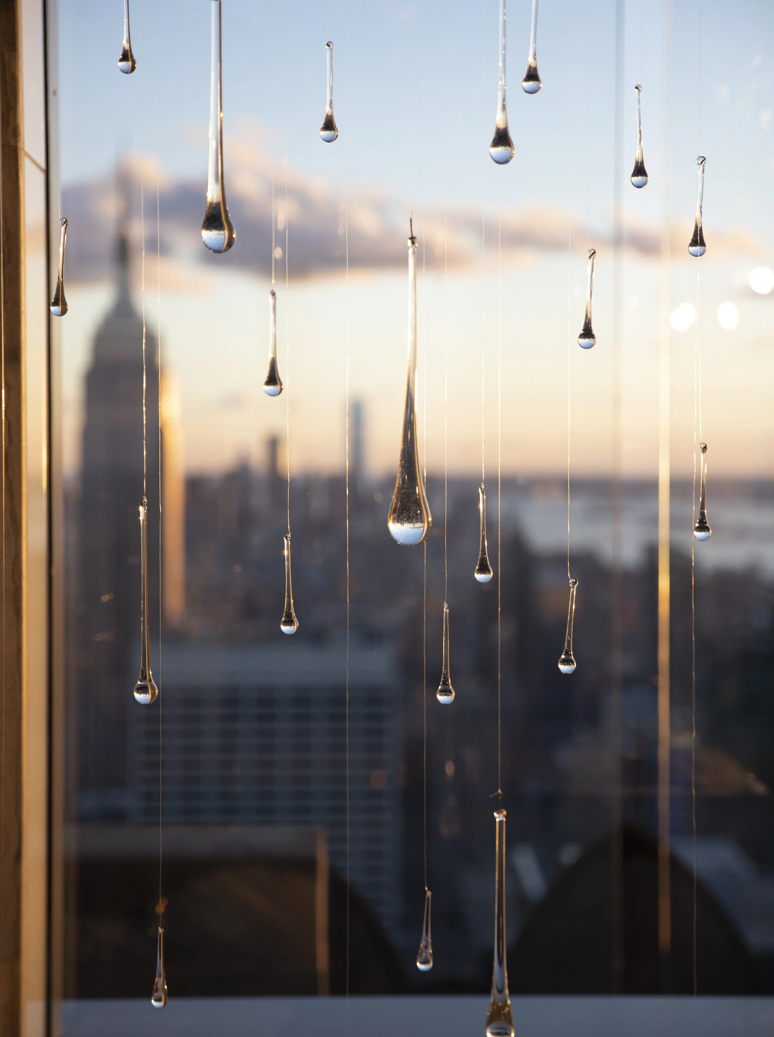 _77A6316.jpg