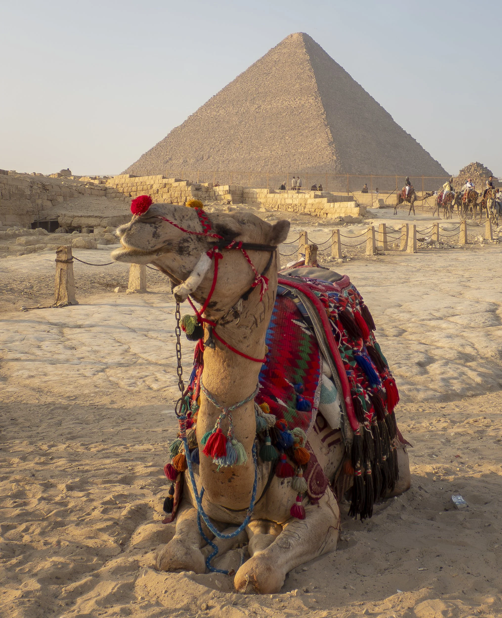 Facebook 2-210906.jpg