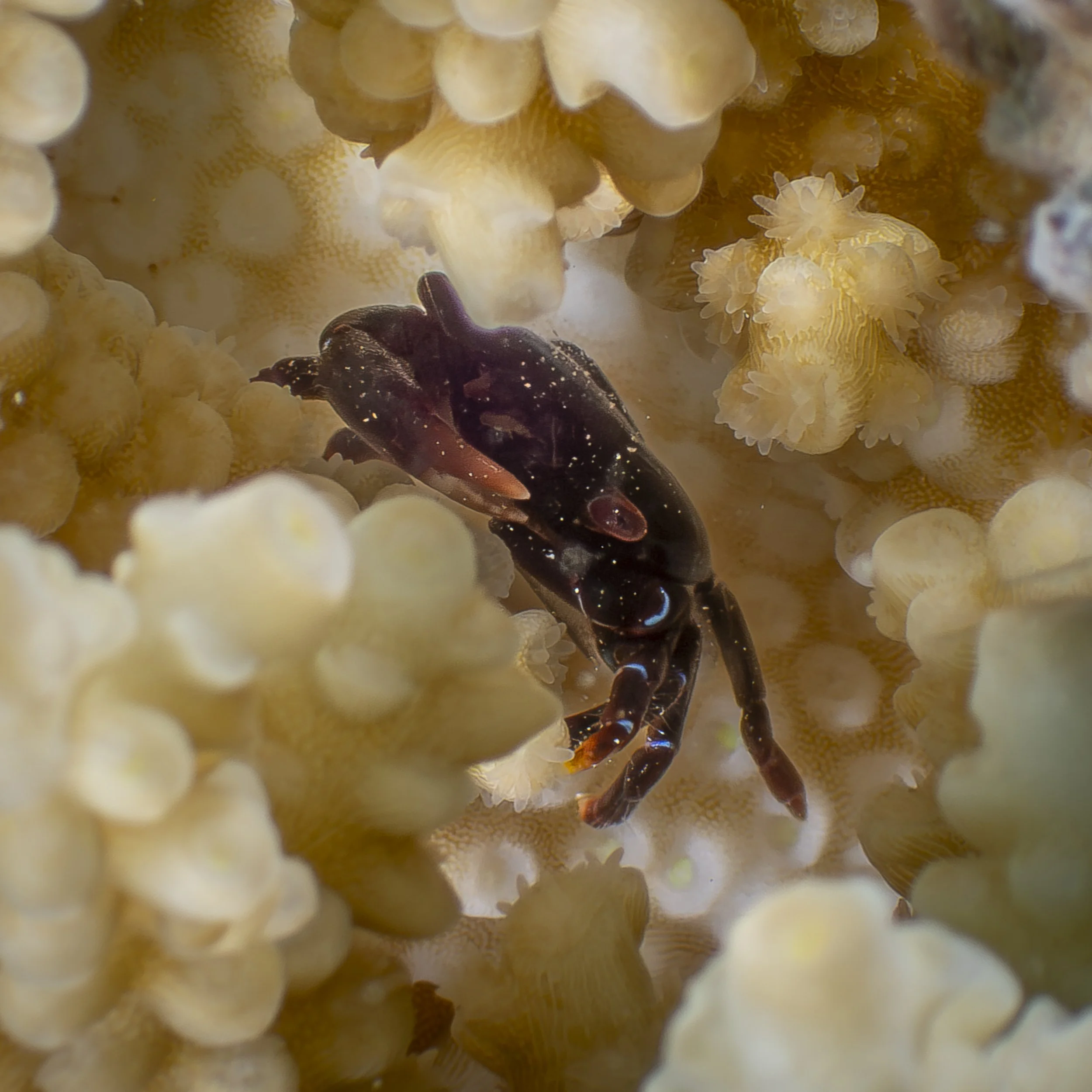 Facebook 2-130635.jpg