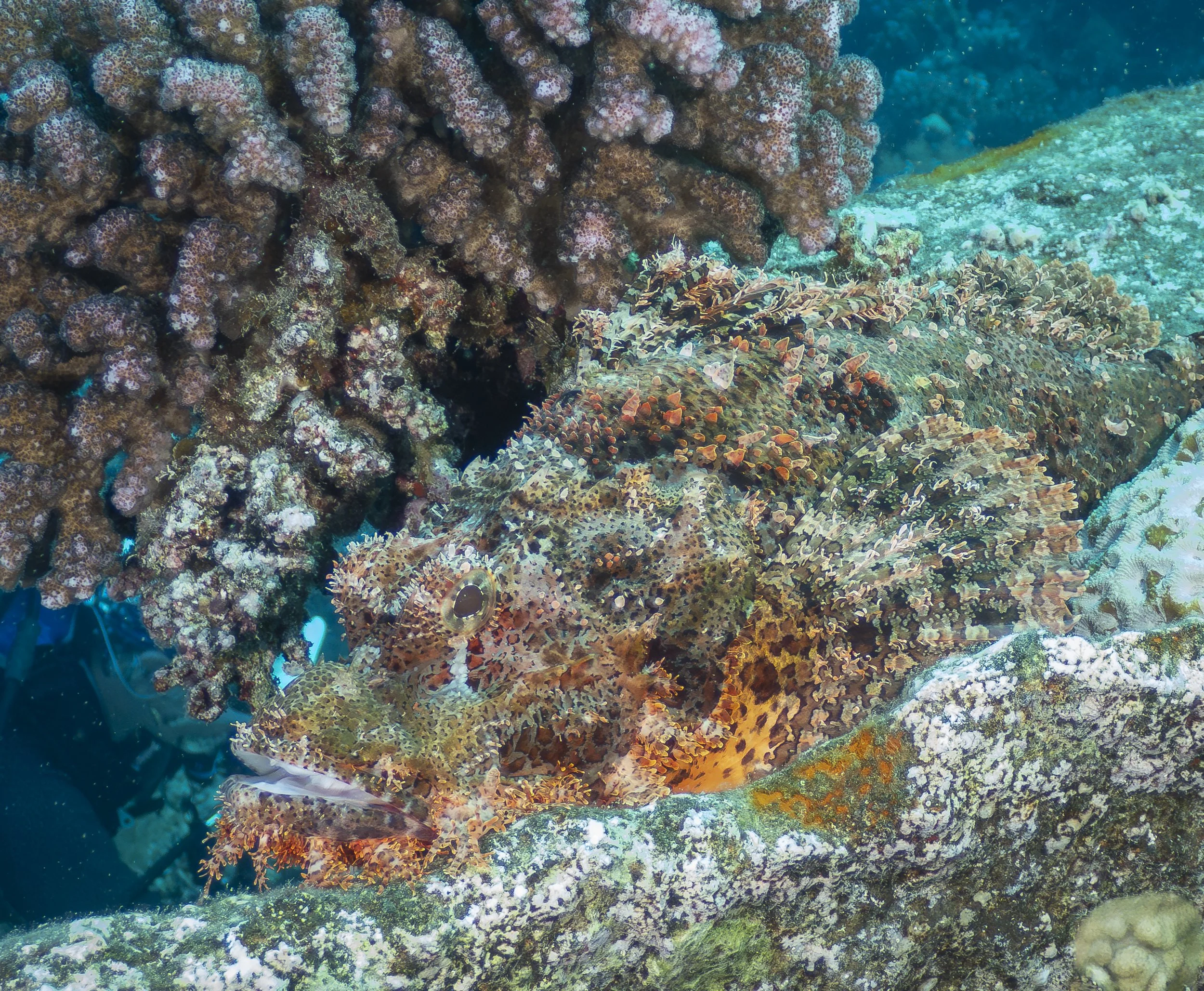 Facebook 2-100029.jpg