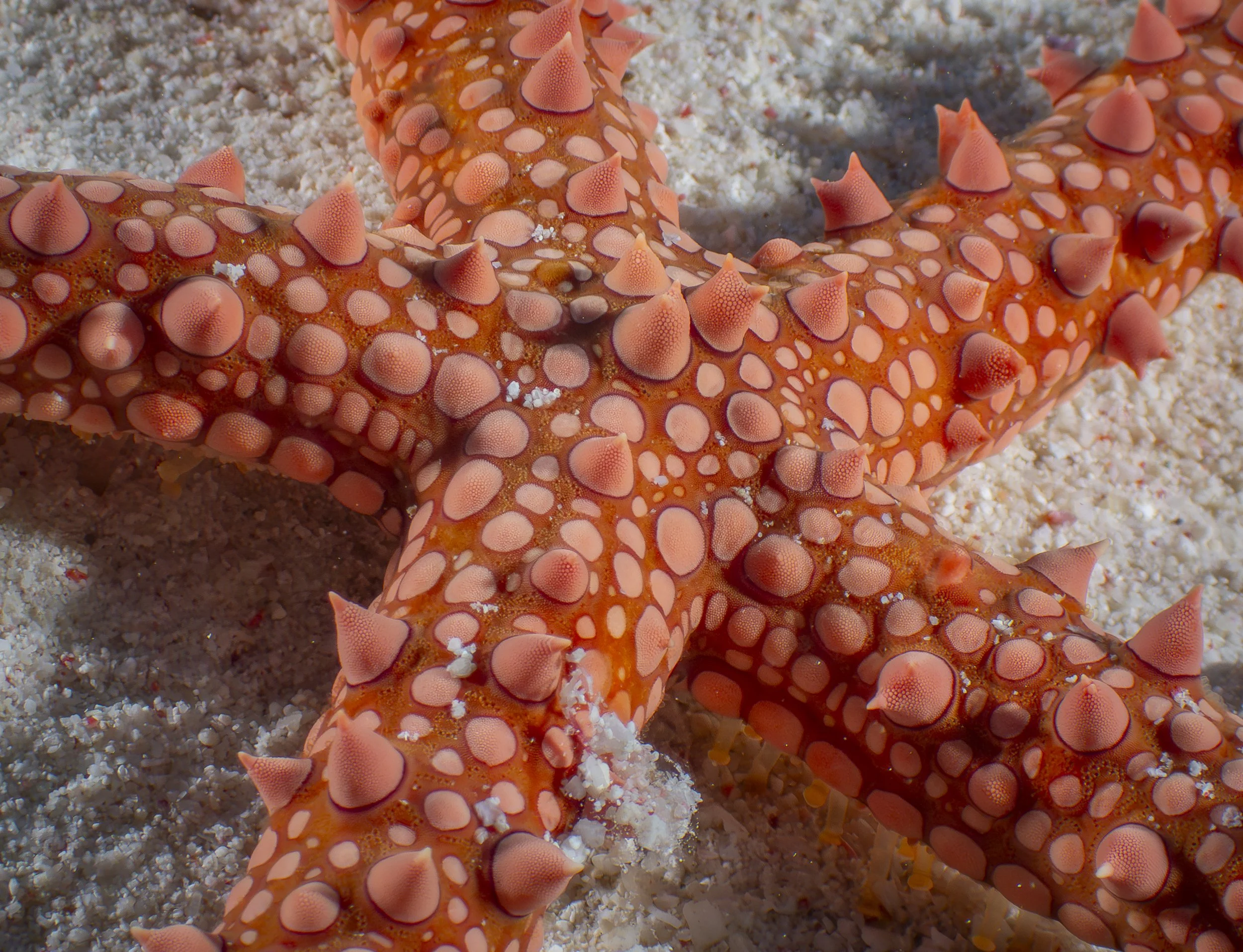 Facebook 2-140707.jpg