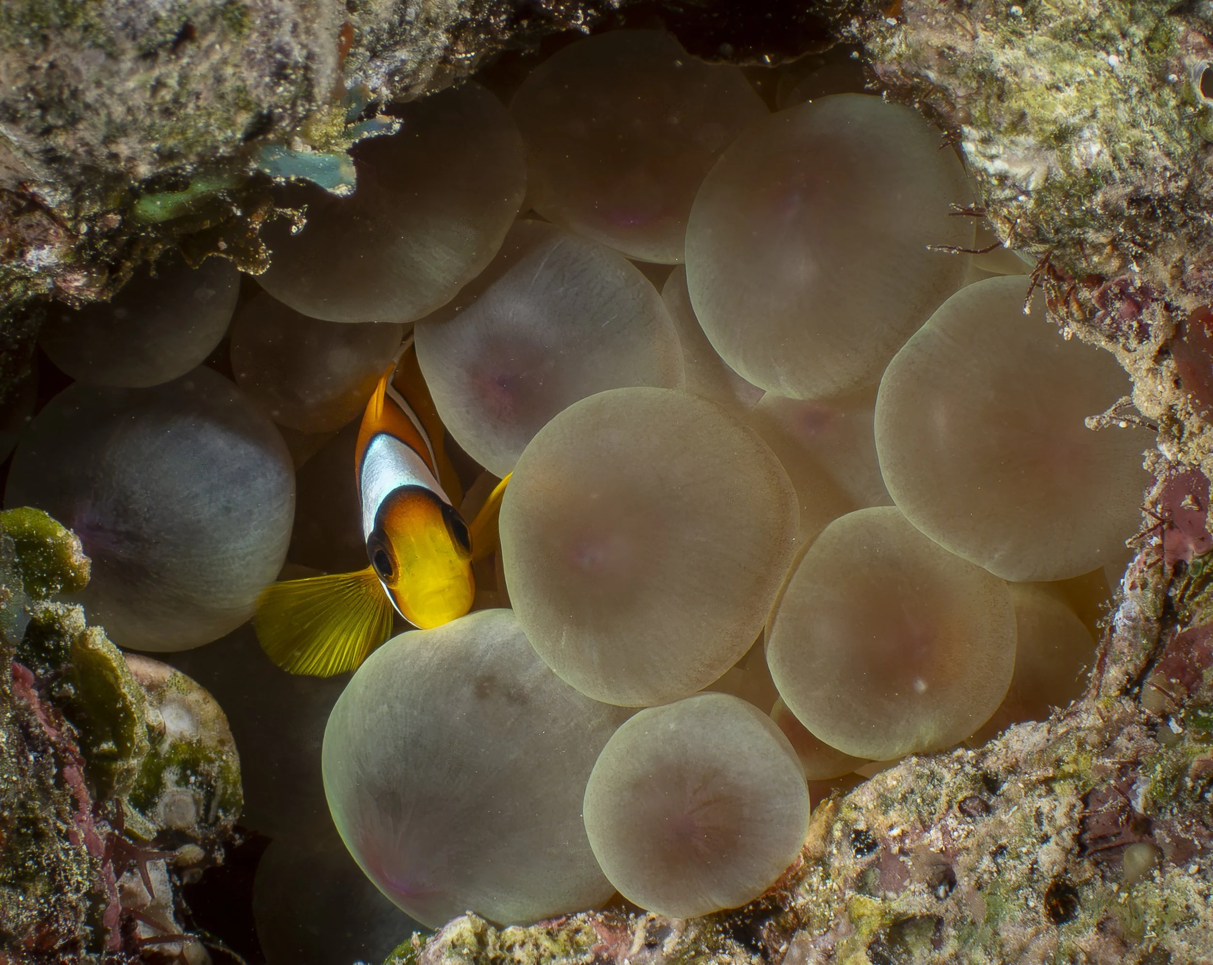 Facebook 2-140721.jpg