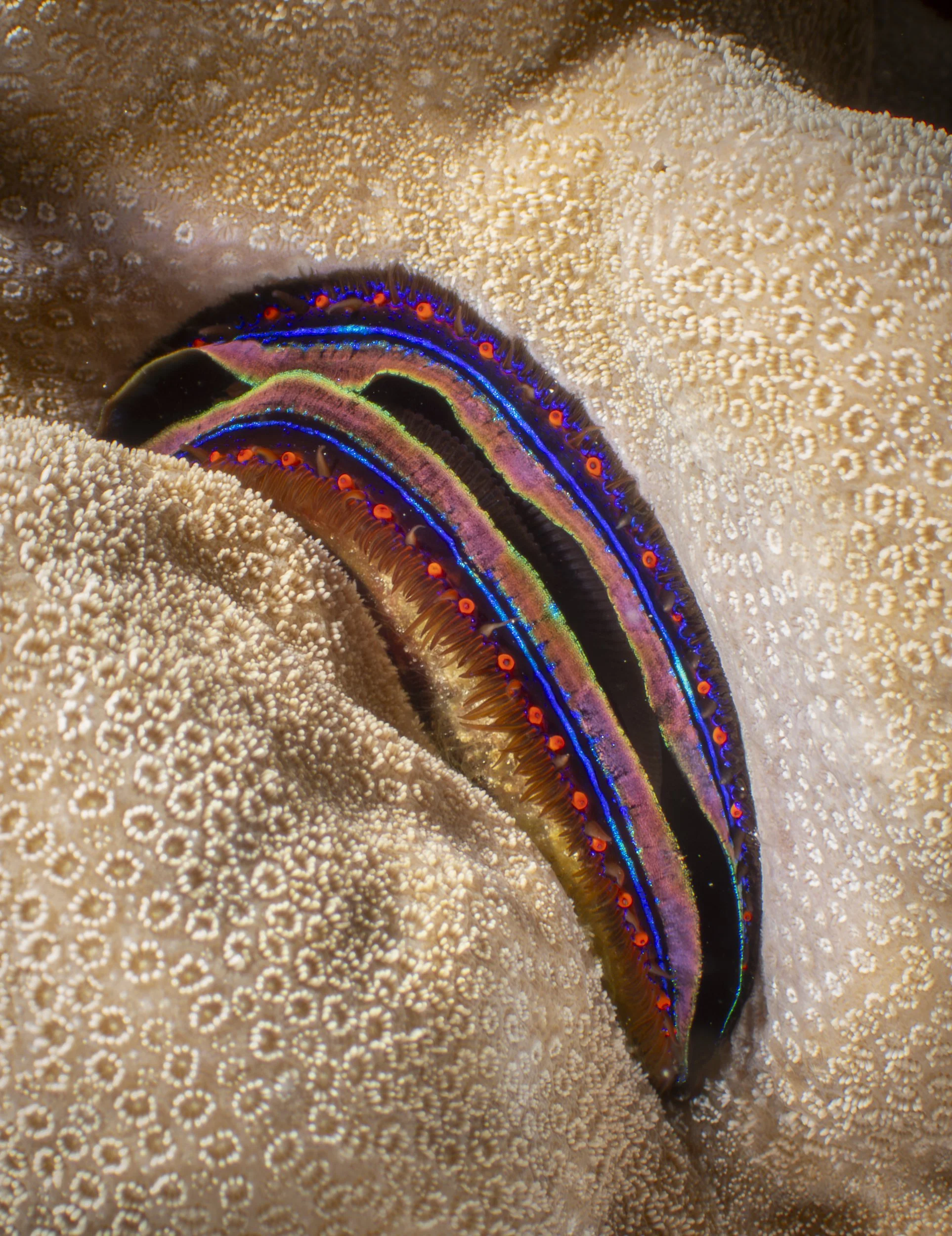 Facebook 2-140756.jpg