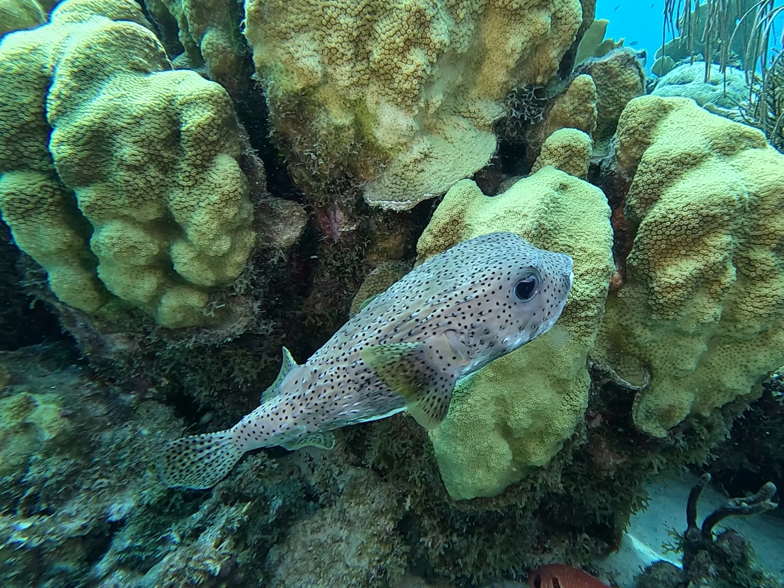 5B9A5628-23B1-4C97-920A-58934C1B0722.jpg