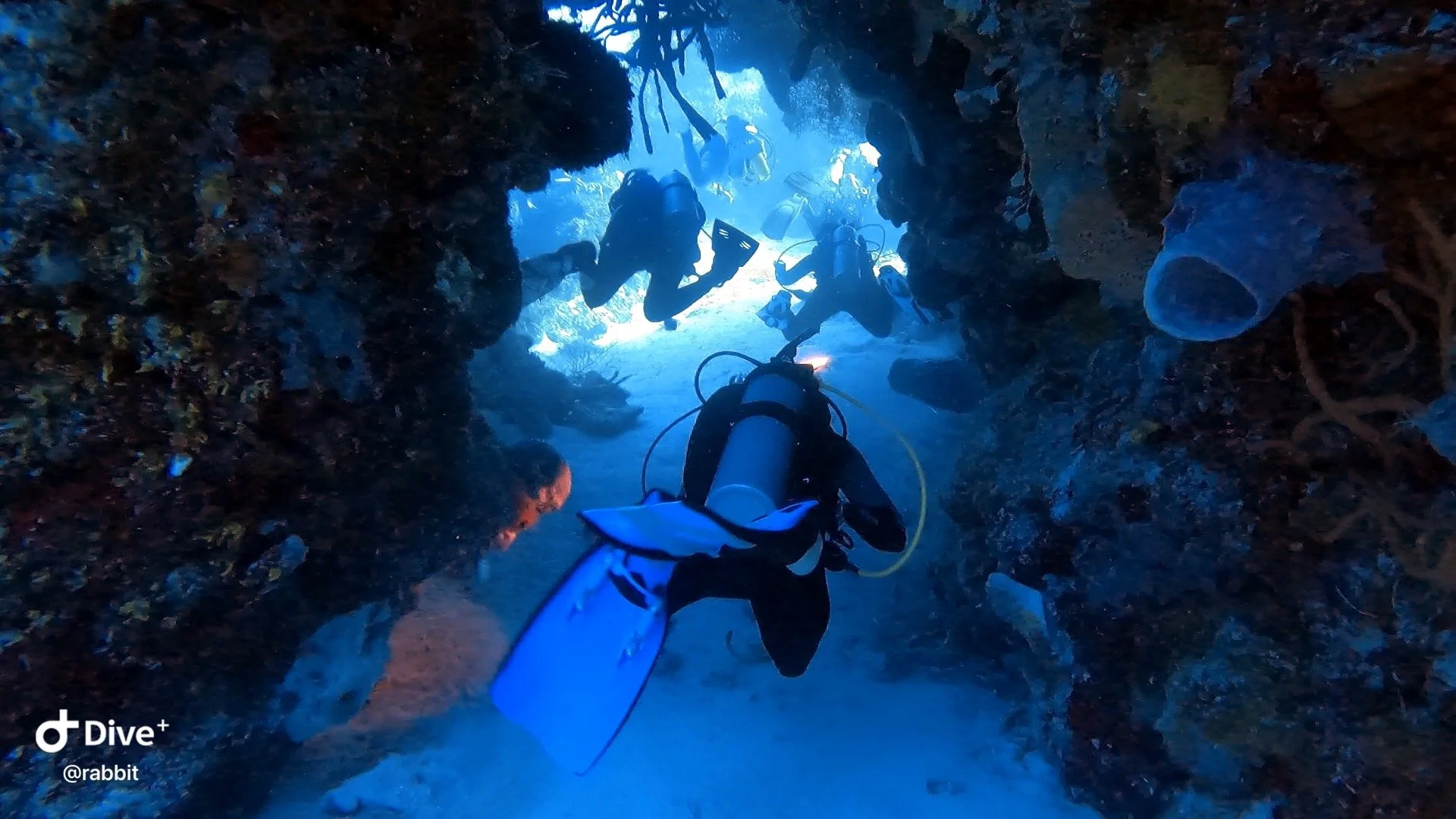 Cozumel 2027 with Instructor Ryan Parker