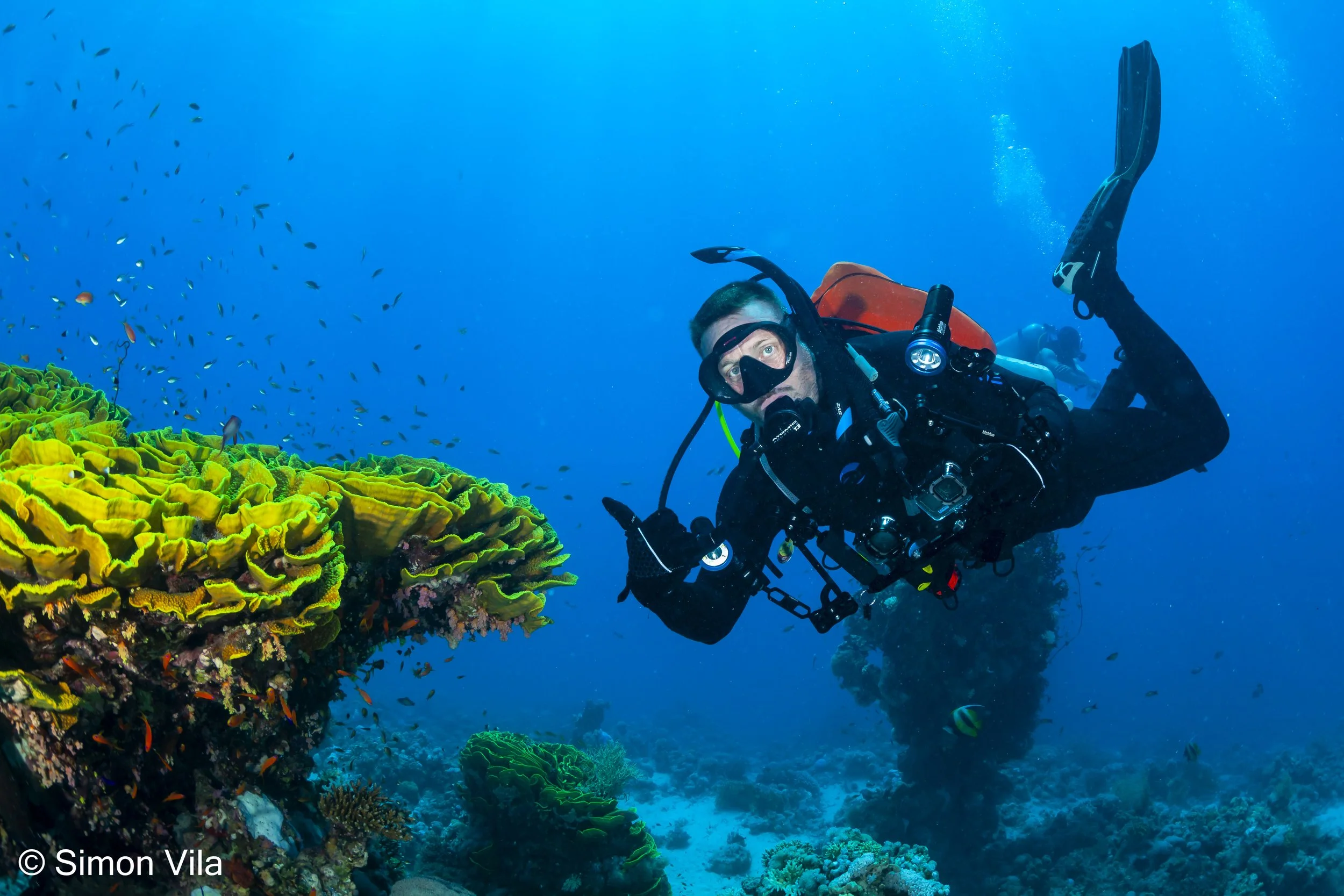 Open Water Certification — AWOL Adventure Sports