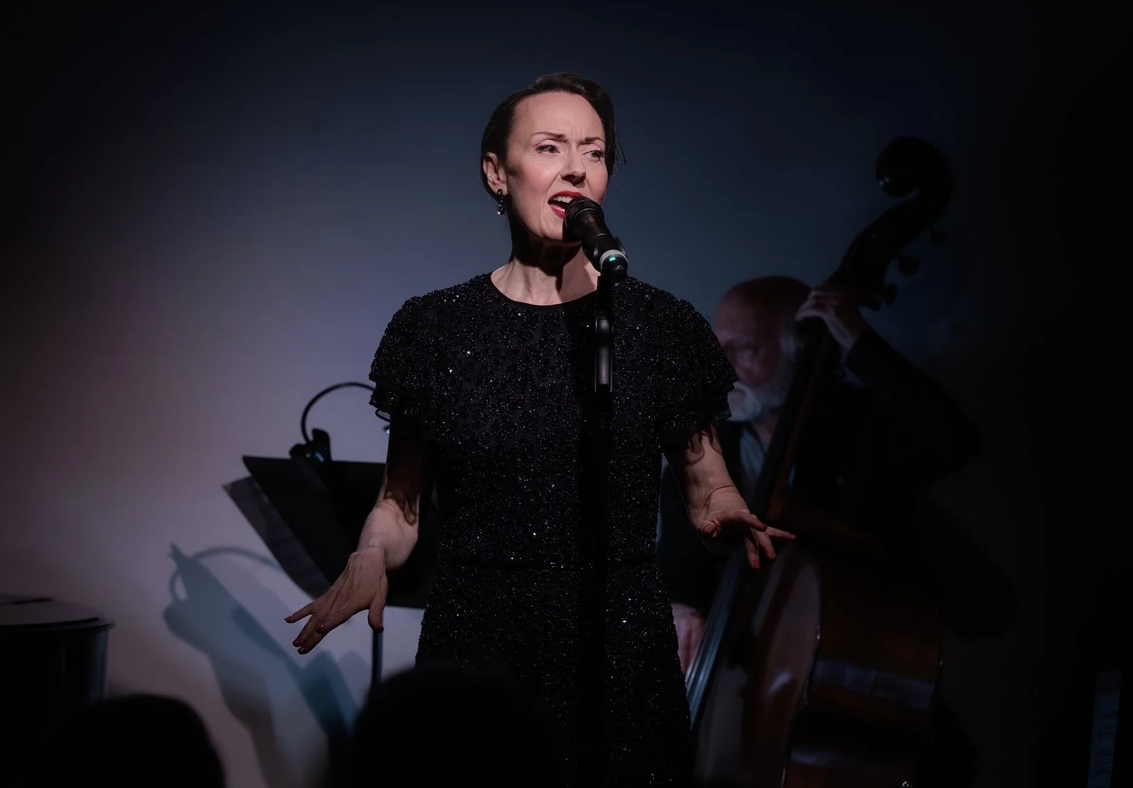 Songbirds of the Silver Screen, Don’t Tell Mama, NYC

Photo Credit: Conor Weiss