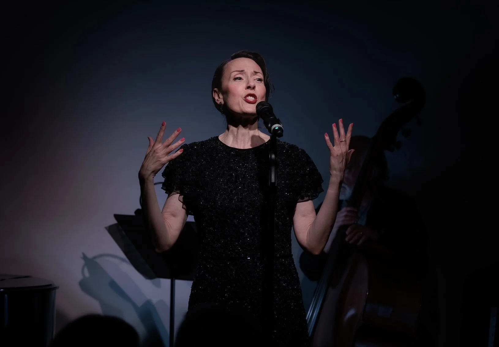 Songbirds of the Silver Screen, Don’t Tell Mama, NYC

Photo Credit: Conor Weiss