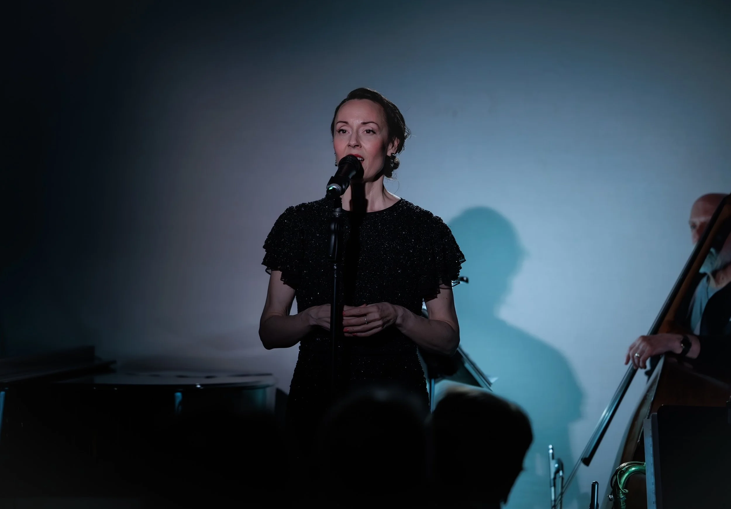 Songbirds of the Silver Screen, Don’t Tell Mama, NYC

Photo Credit: Conor Weiss