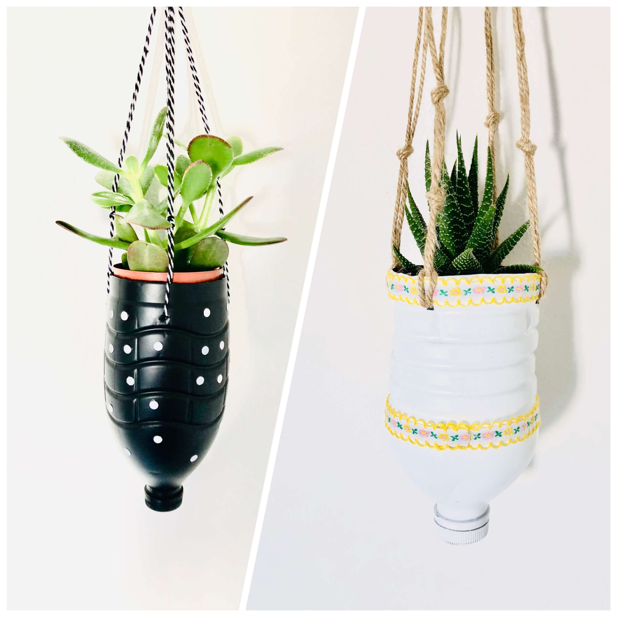 How To Make Hanging Flower Pots From Used Plastic Bottles — Caactus Care