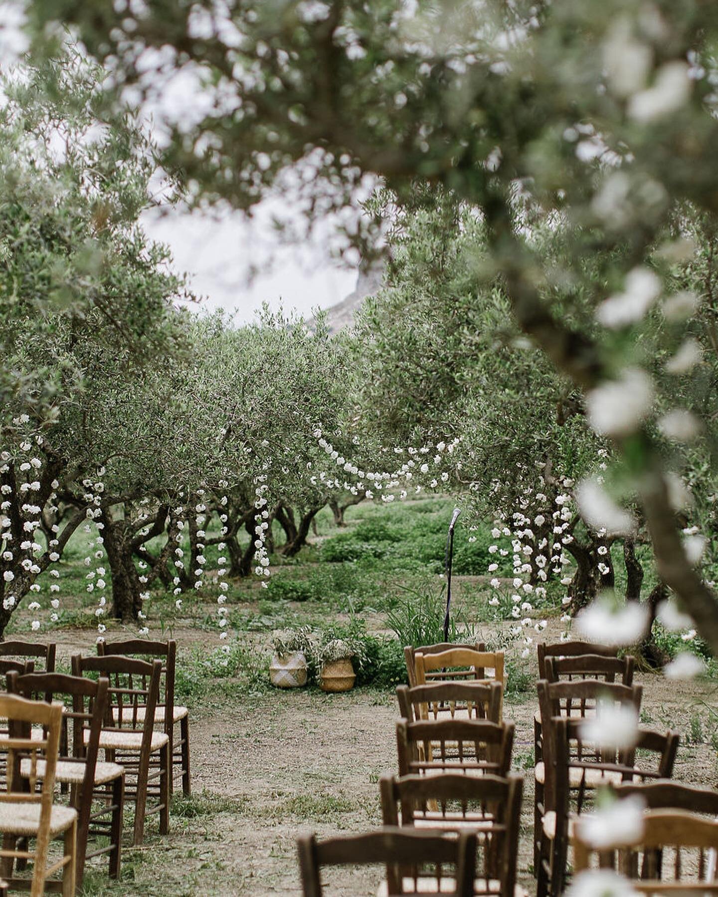 Would you say &ldquo;𝙄 𝙙𝙤&rdquo; in the midst of the breathtaking nature of Crete, surrounded by the sound of olive trees and your loved ones?
&bull;
For this wedding ceremony, we developed a minimalist styling concept and added just the right amo