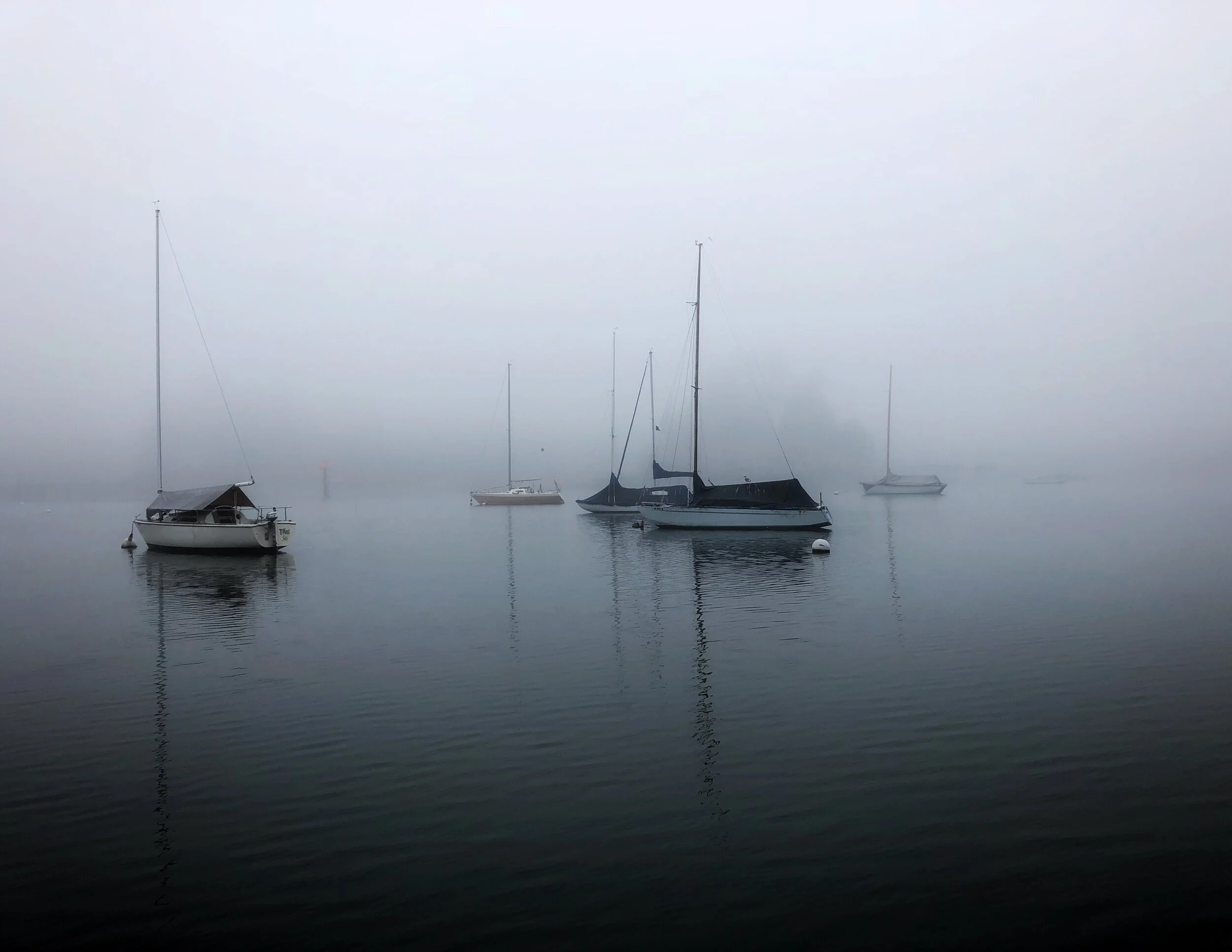 IMG_1973.jpeg