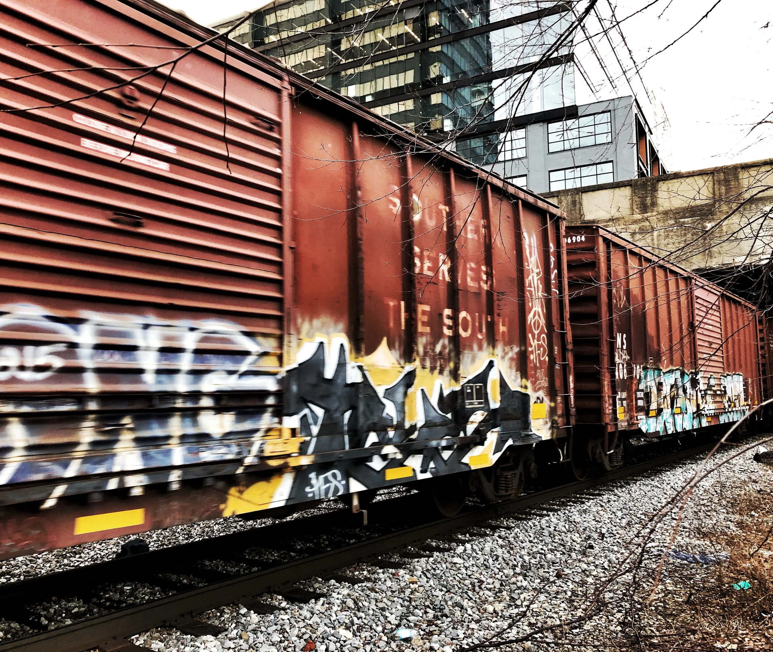 IMG_4319.jpeg