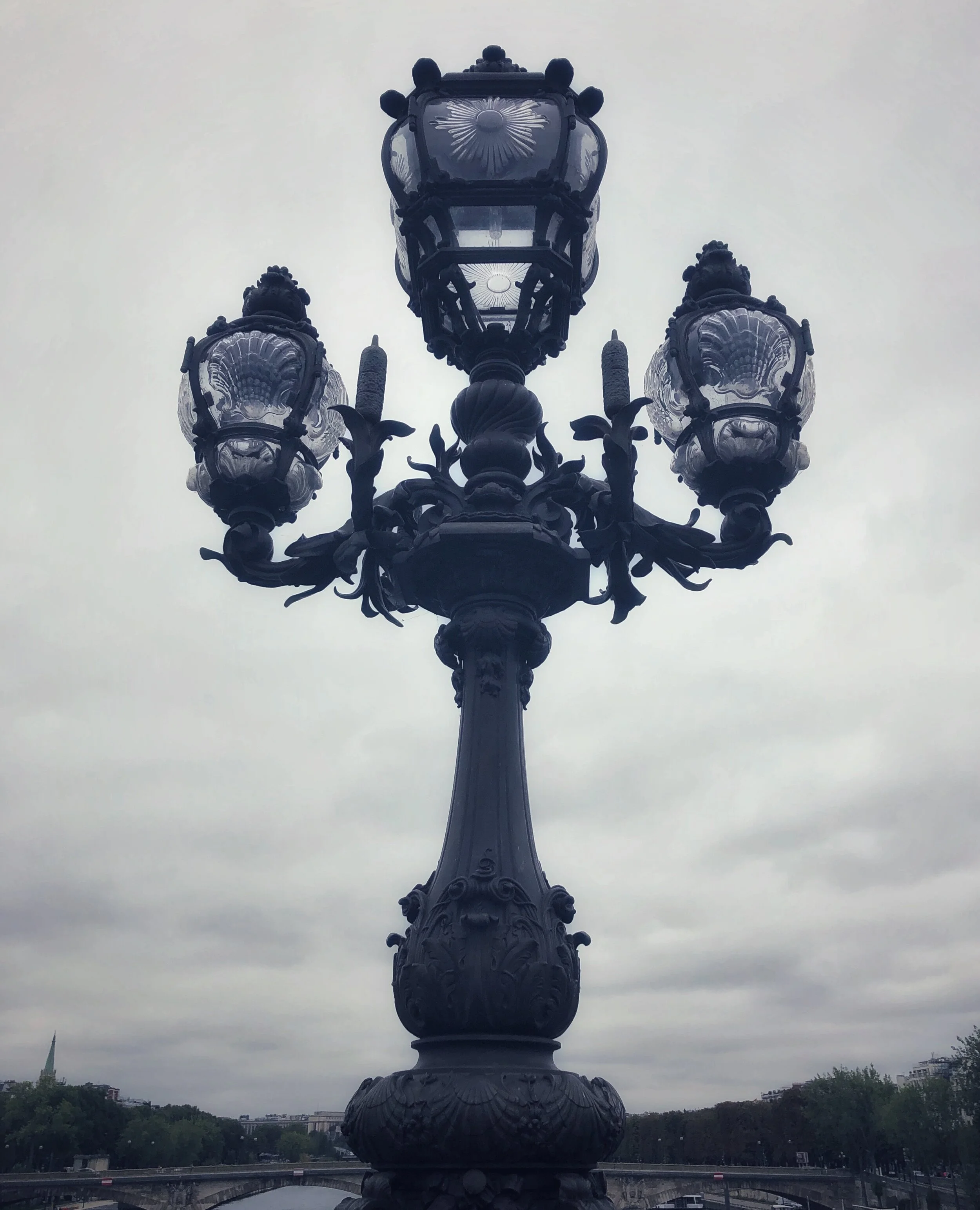 IMG_7744.jpeg
