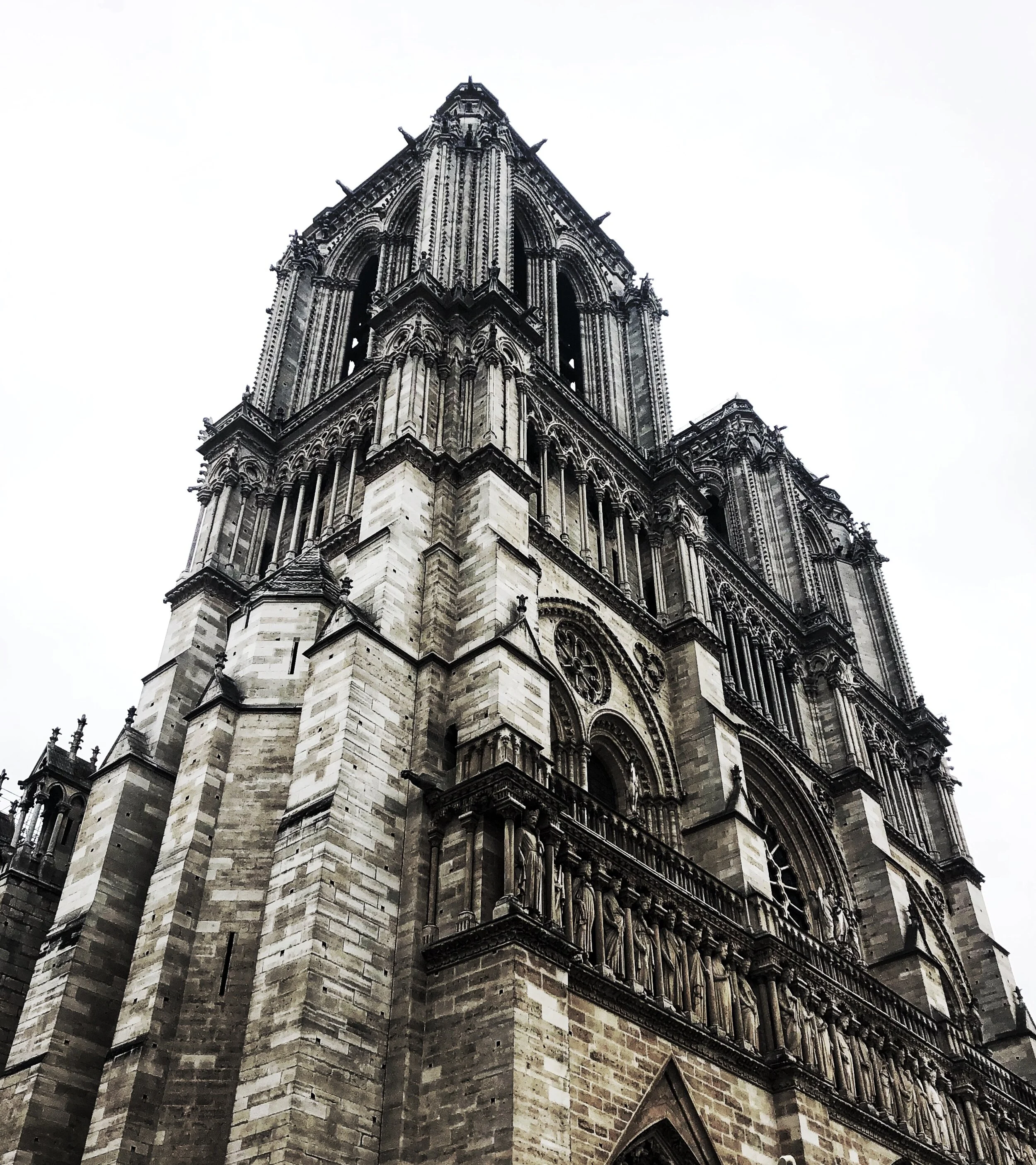 IMG_7731.jpeg