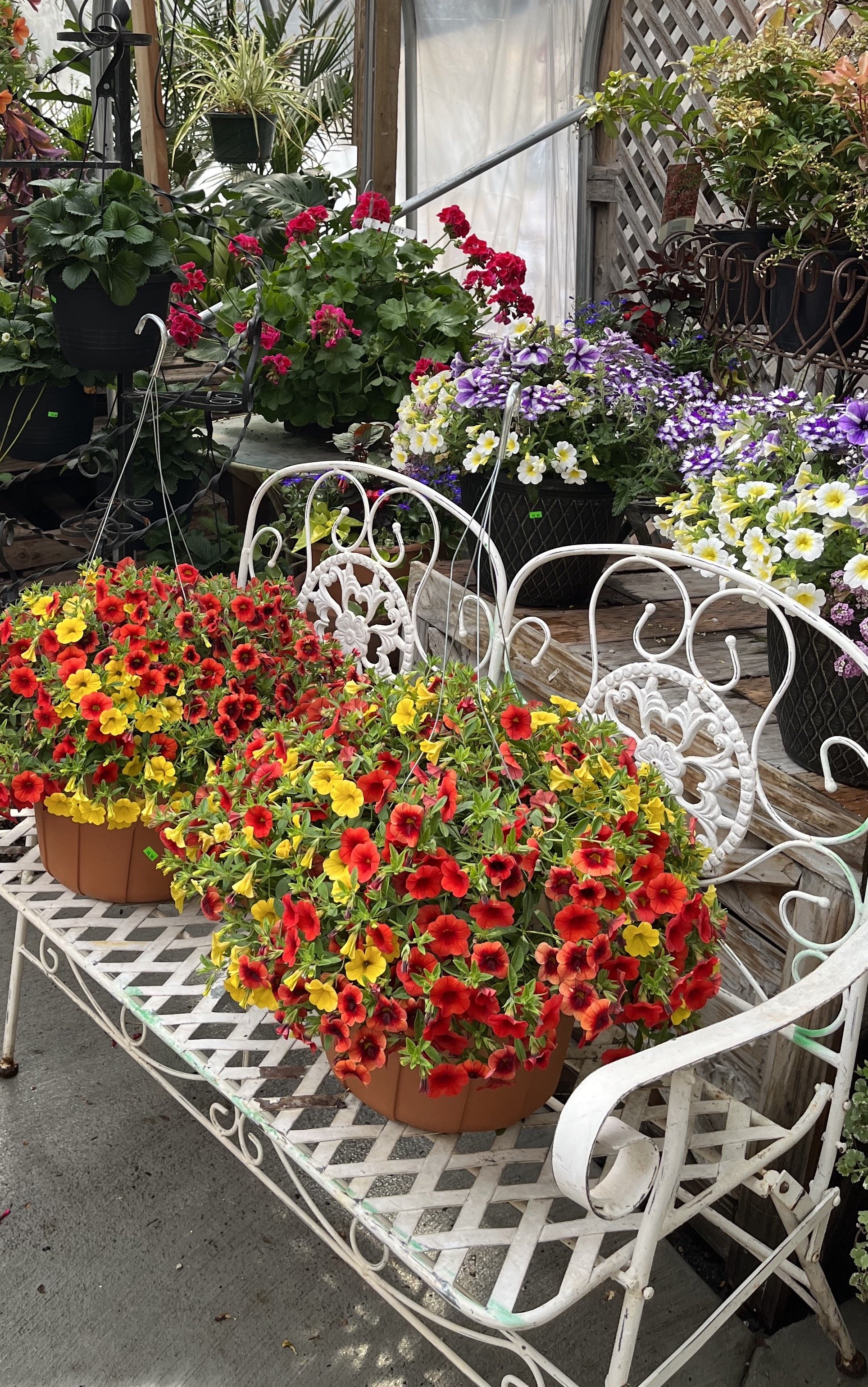 IMG_0307.jpeg