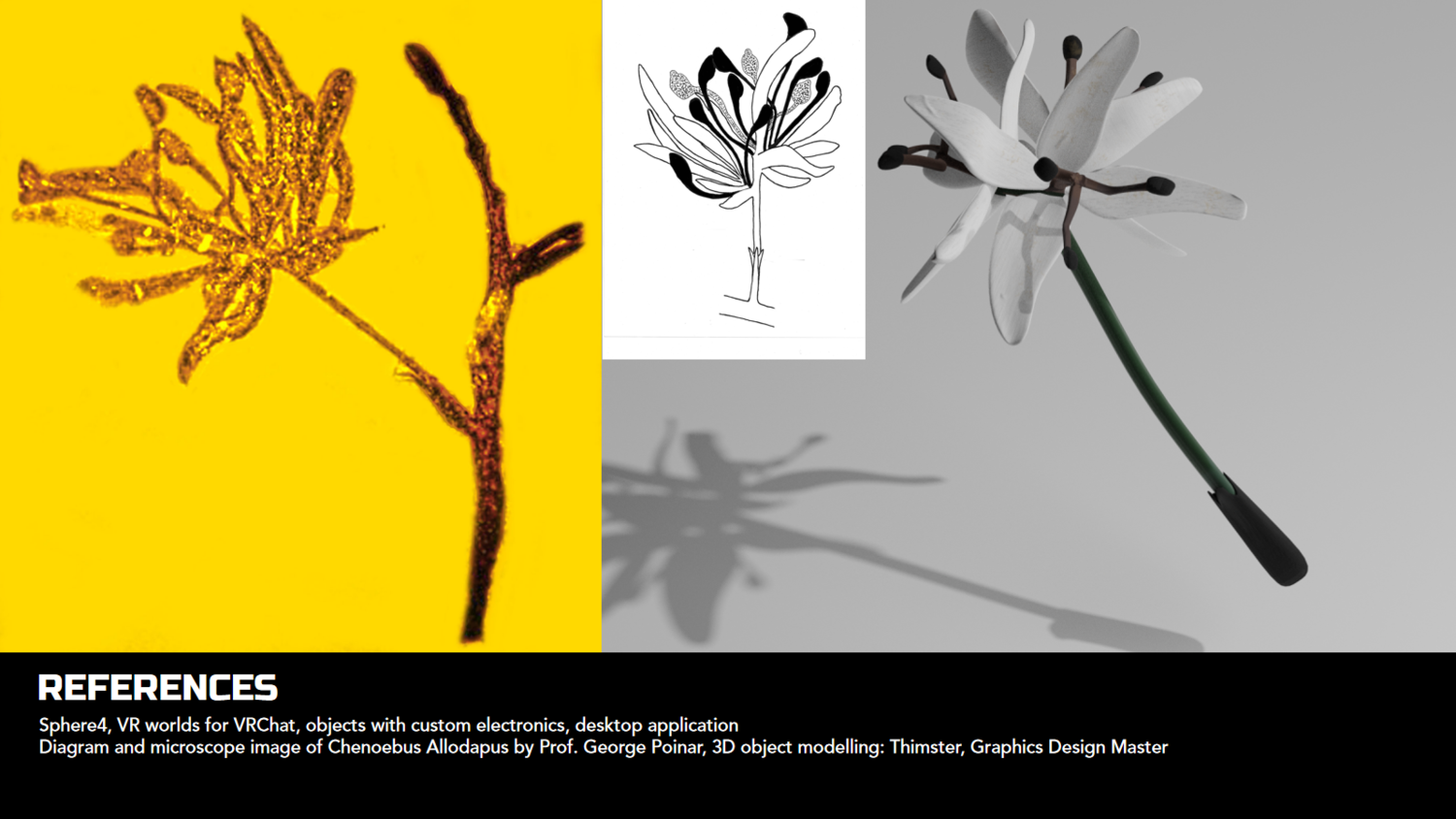 Tanja_Vujinovic_lecture_Slide_ (2).png