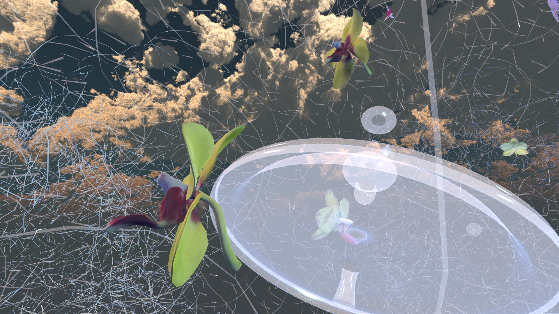 Tanja_V_ultramono-SPHERE4-GENESIS (43).png