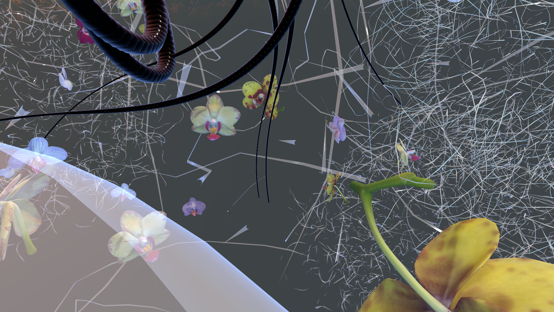 Tanja_V_ultramono-SPHERE4-GENESIS (40).png