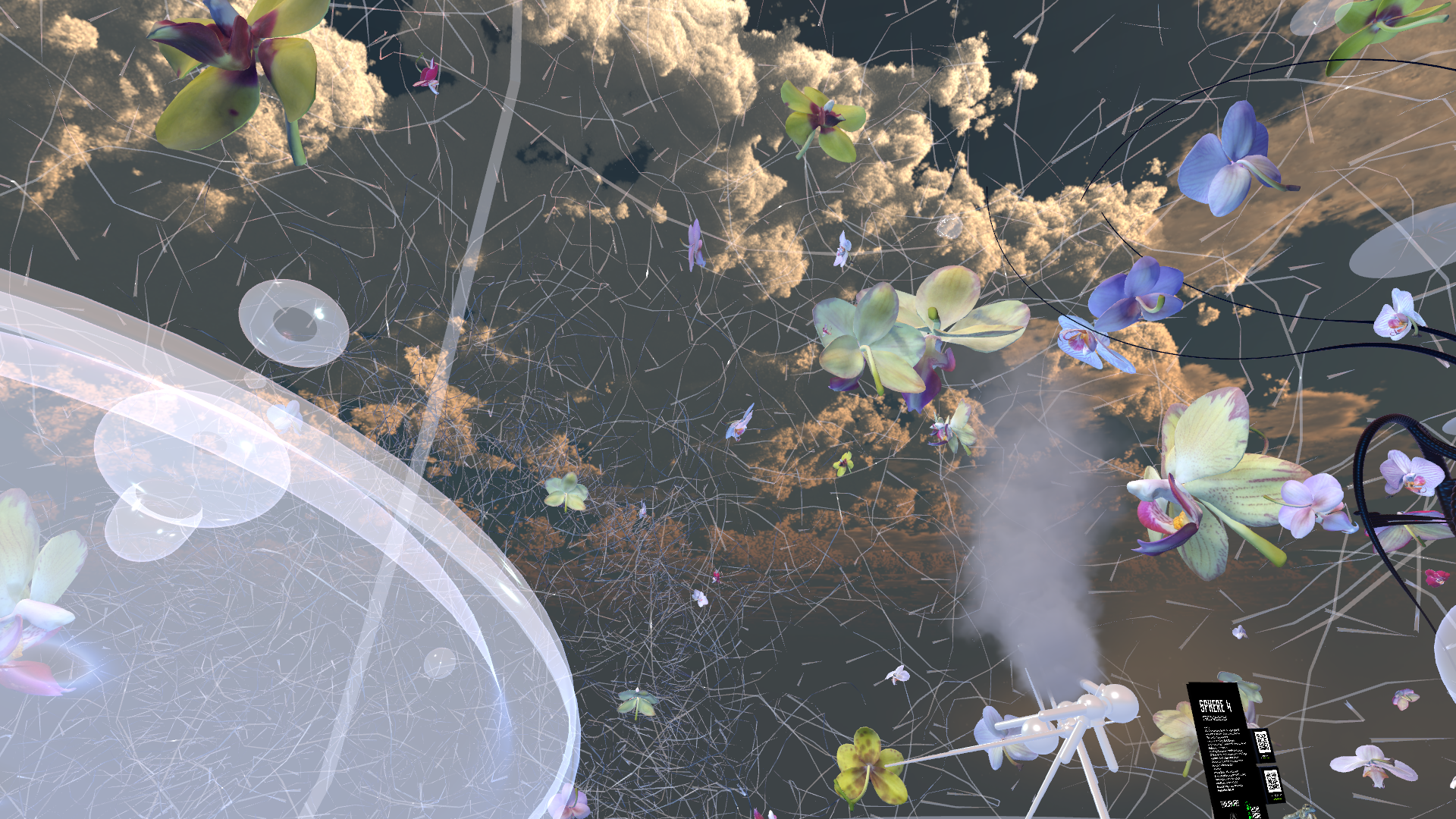 Tanja_V_ultramono-SPHERE4-GENESIS (44).png