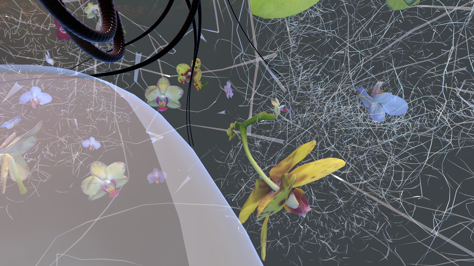 Tanja_V_ultramono-SPHERE4-GENESIS (39).png