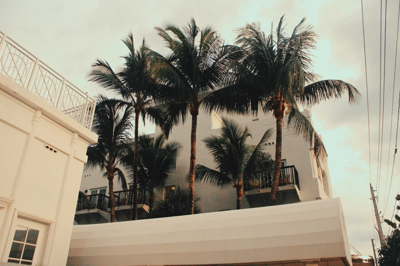tumblr_nt041kI06g1u9xxmho1_1280.jpg