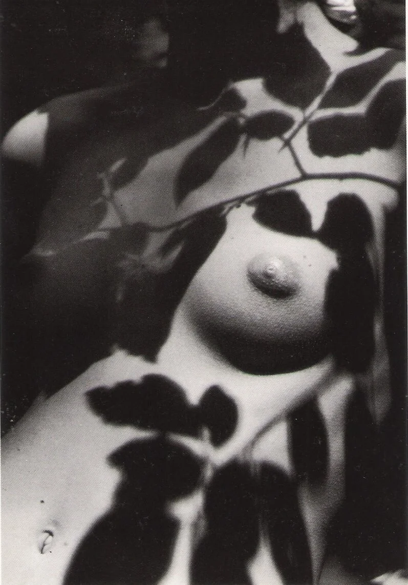 tumblr_pg7x8idAWa1vbdnfoo1_1280.jpg