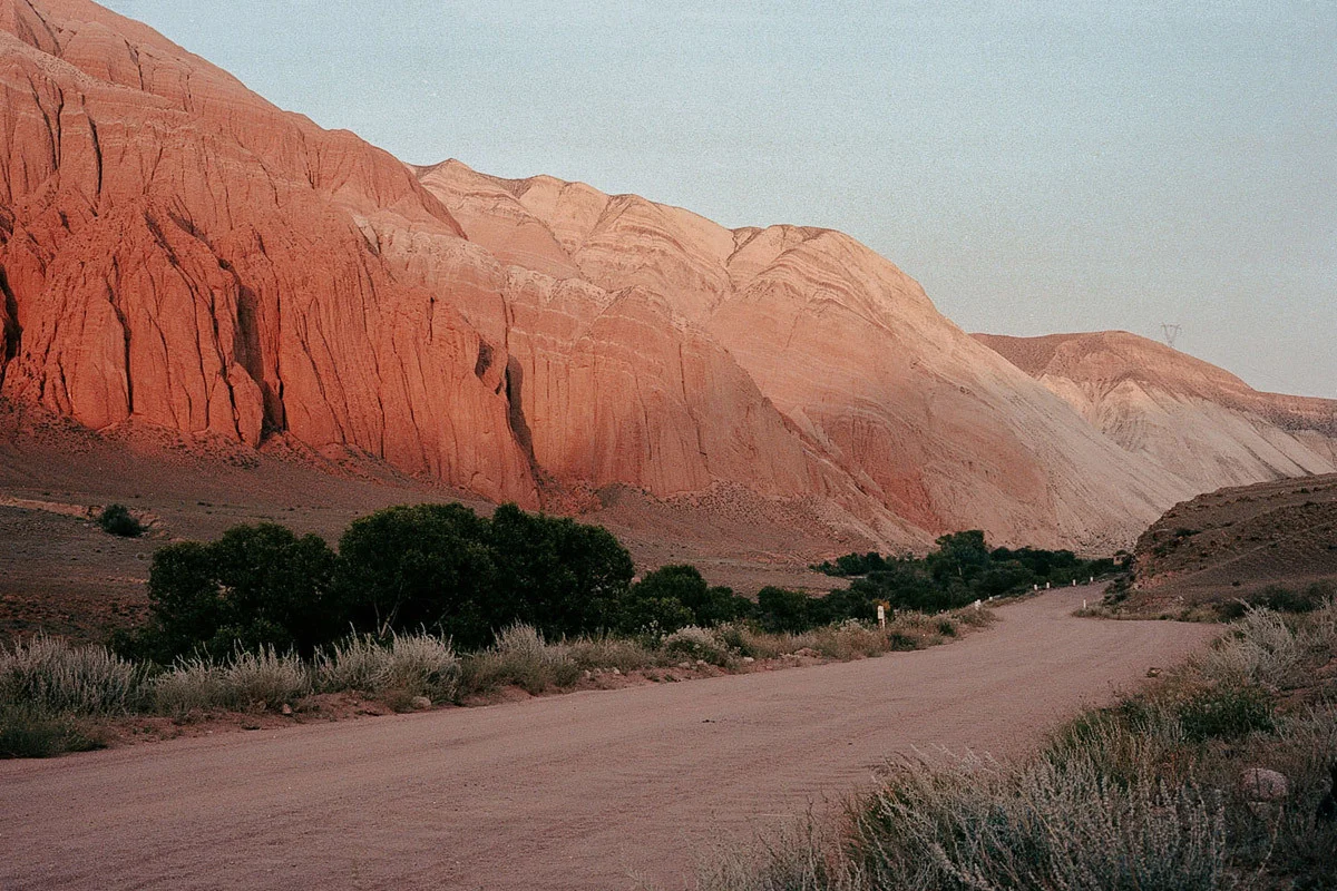 playburo:david schermann
