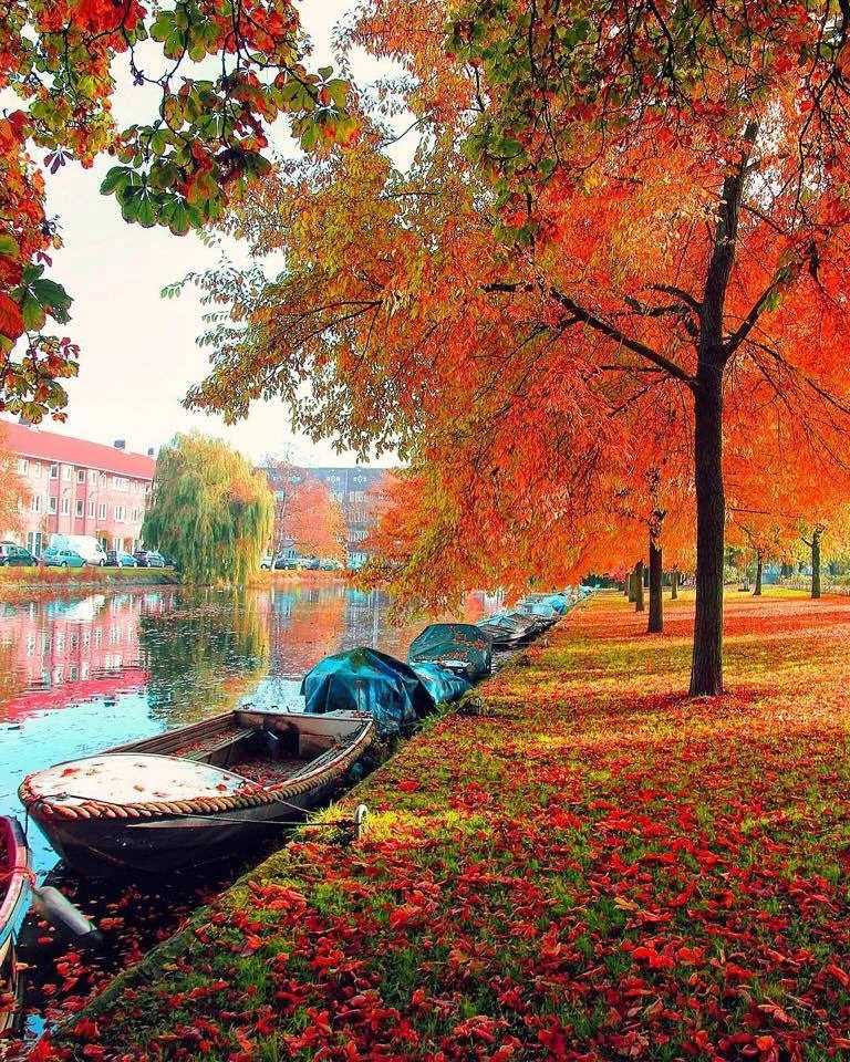 dreamingofgoingthere:



Amsterdam, The Netherlands