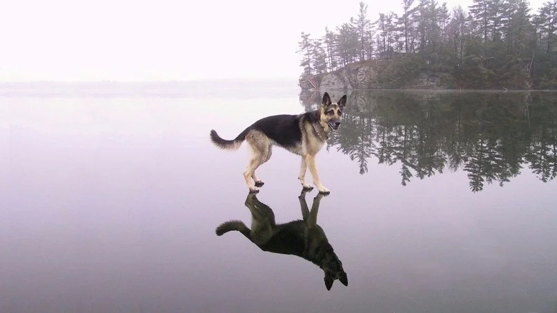 tumblr_per5969u0r1repobao1_1280.jpg
