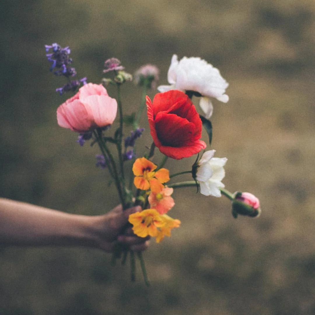 oldfarmhouse:

So long🌷Spring, 
Hello, Summer🌅