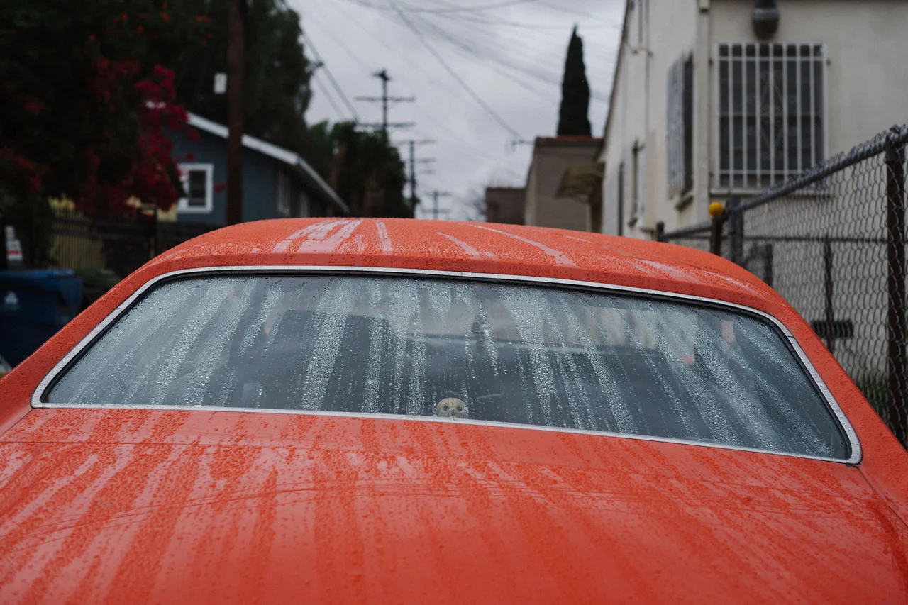 americaisdead:
© tag christof
silver lake, los angeles. may 2018