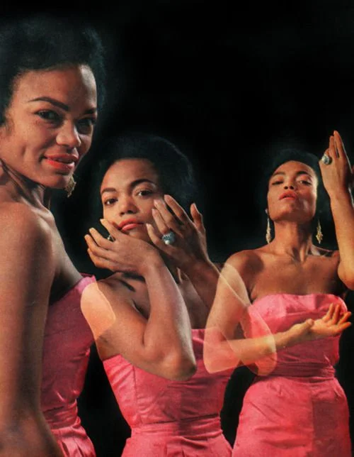 orwell:
Eartha Kitt by Arthur Rothstein for Look Magazine (1953)