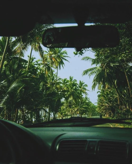 tumblr_or77c1HFrO1w16ukho1_500.jpg