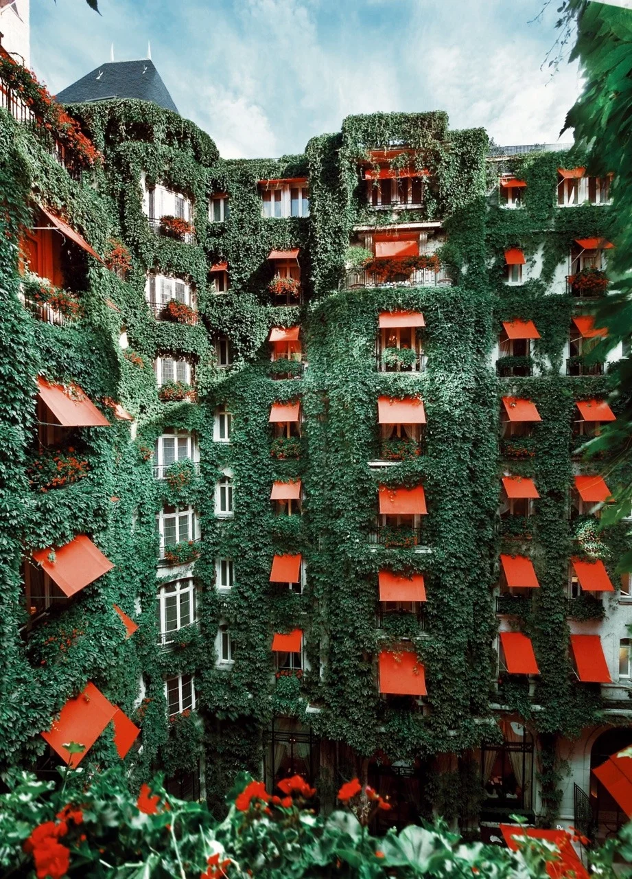 just-good-design:
La Cour Jardin in the Plaza Athenee hotel in Paris.