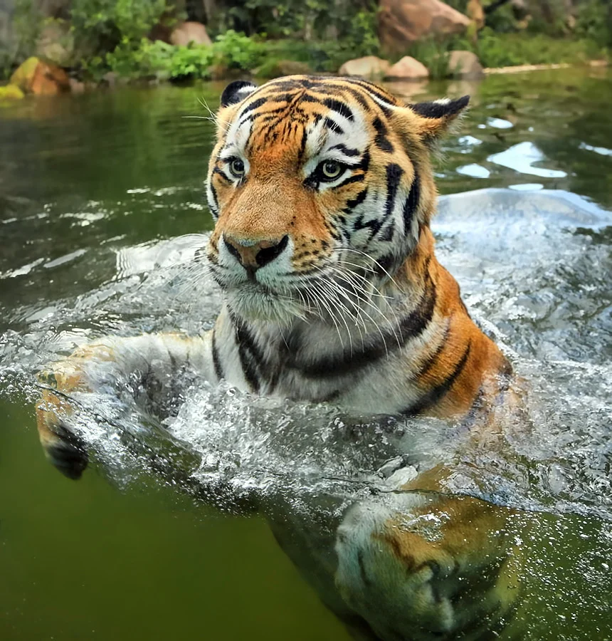 tumblr_mrpsneji9h1qa9omho1_1280.jpg
