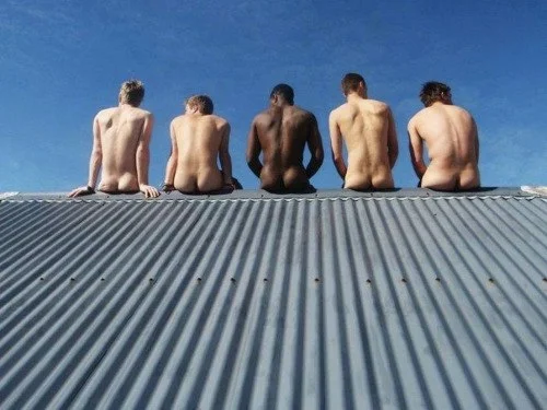 tumblr_oruo090yCa1qzhjh2o1_500.jpg