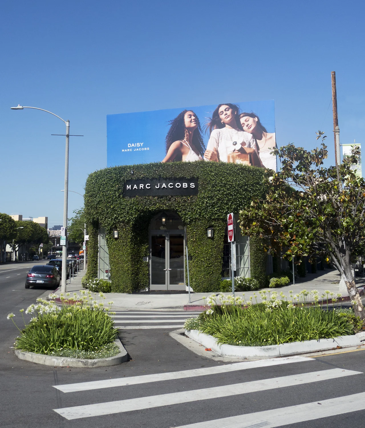marcjacobs:

Daisies are blooming at our Marc Jacobs flagship boutique on 8400 Melrose Pl, Los Angeles. Come say hi!