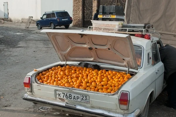 tumblr_m6nk8gXHqS1rasiv1o1_640.jpg