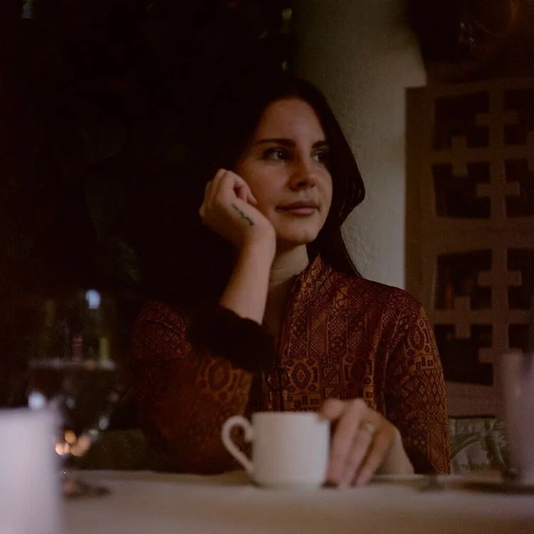 ultraviolenceparadiseedition:
Lana Del Rey on Christmas Day 2016 in Beverly Hills, CA photographed by Emma Elizabeth Tillman
